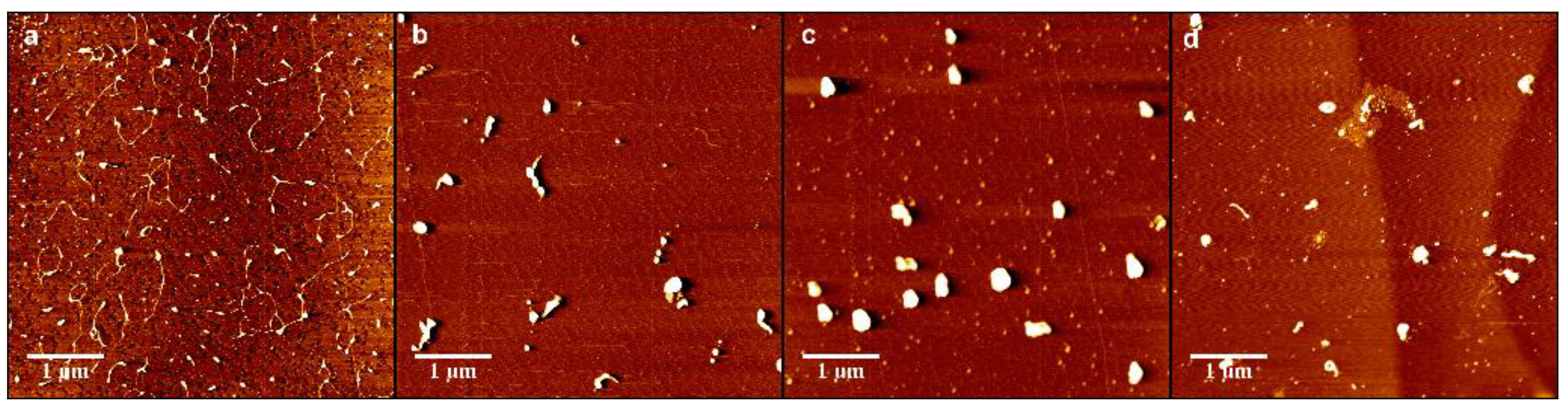 Polymers 11 00646 g008a Polymers 11 00646 g008a