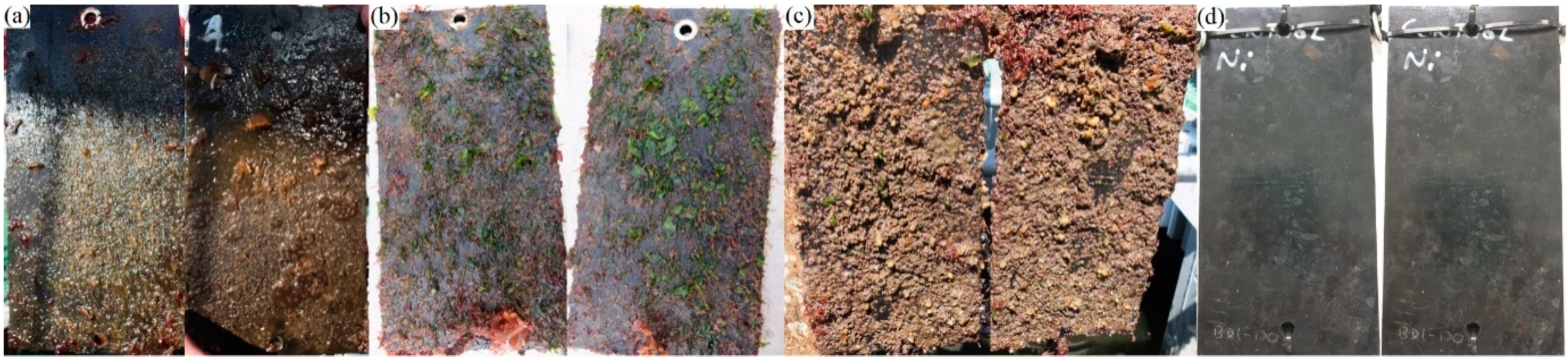 Polymers 11 00663 g006 Polymers 11 00663 g006