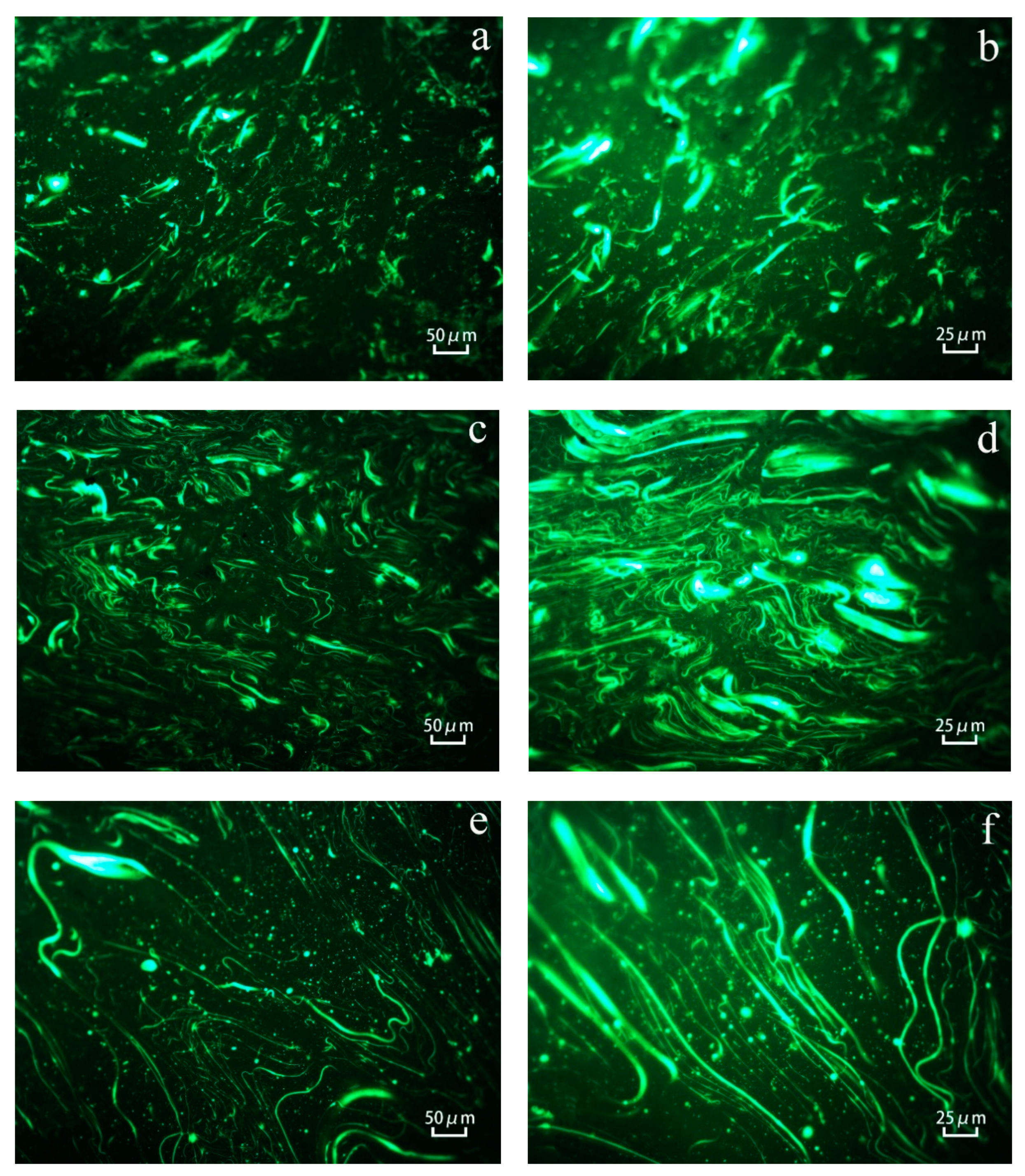 Polymers 11 00665 g009