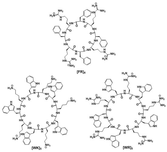 Polymers Free Full Text Amphiphilic Peptides For Efficient Sirna Delivery Html