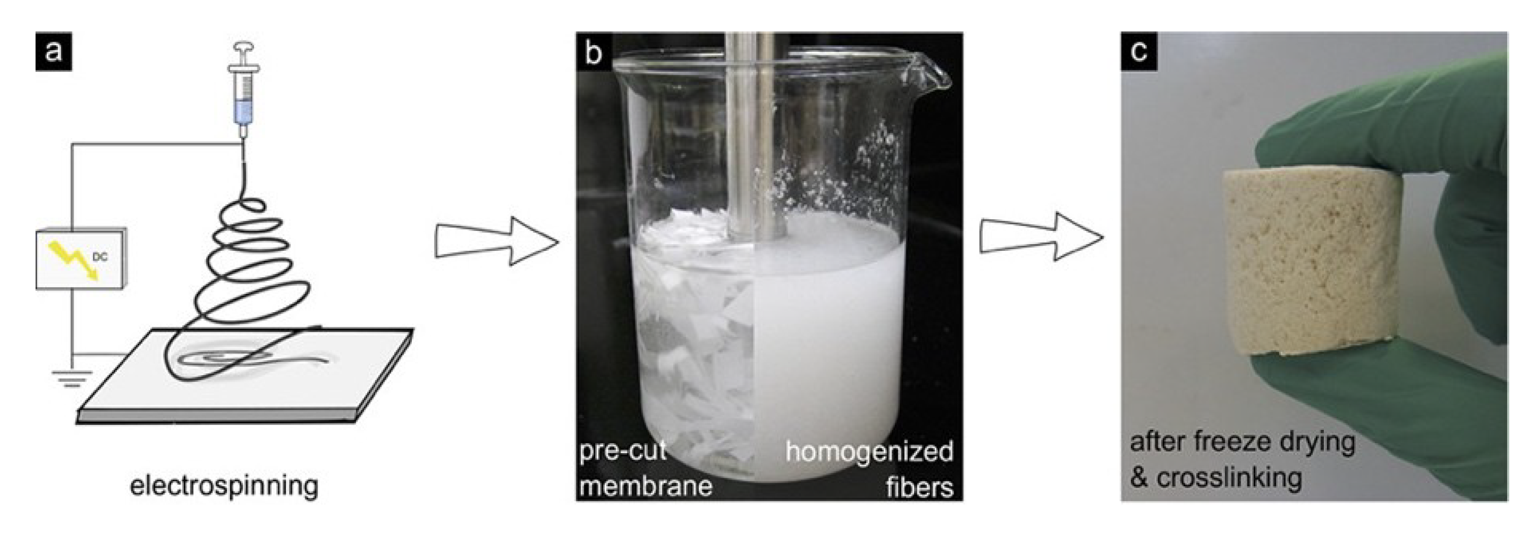 Polymers 11 00726 g007