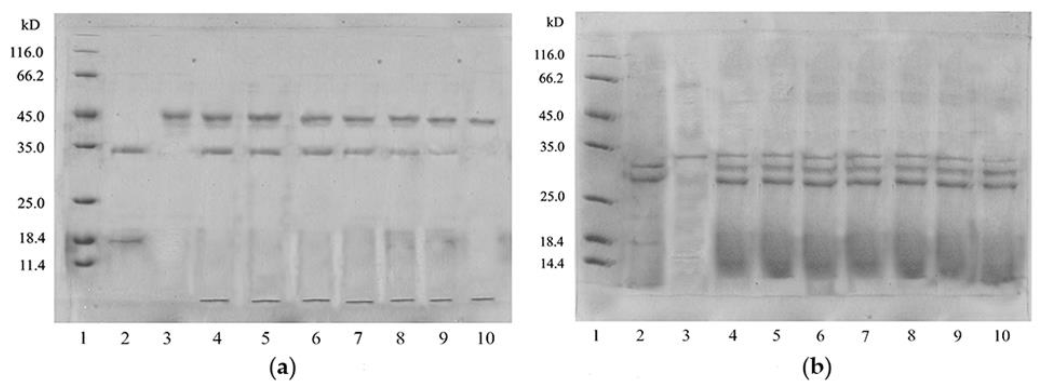Polymers 11 00785 g010 Polymers 11 00785 g010