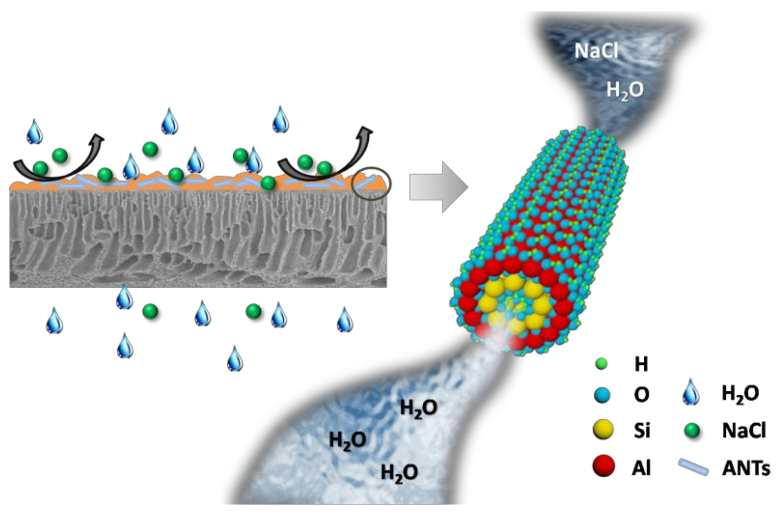 Polymers 11 00879 g008 Polymers 11 00879 g008