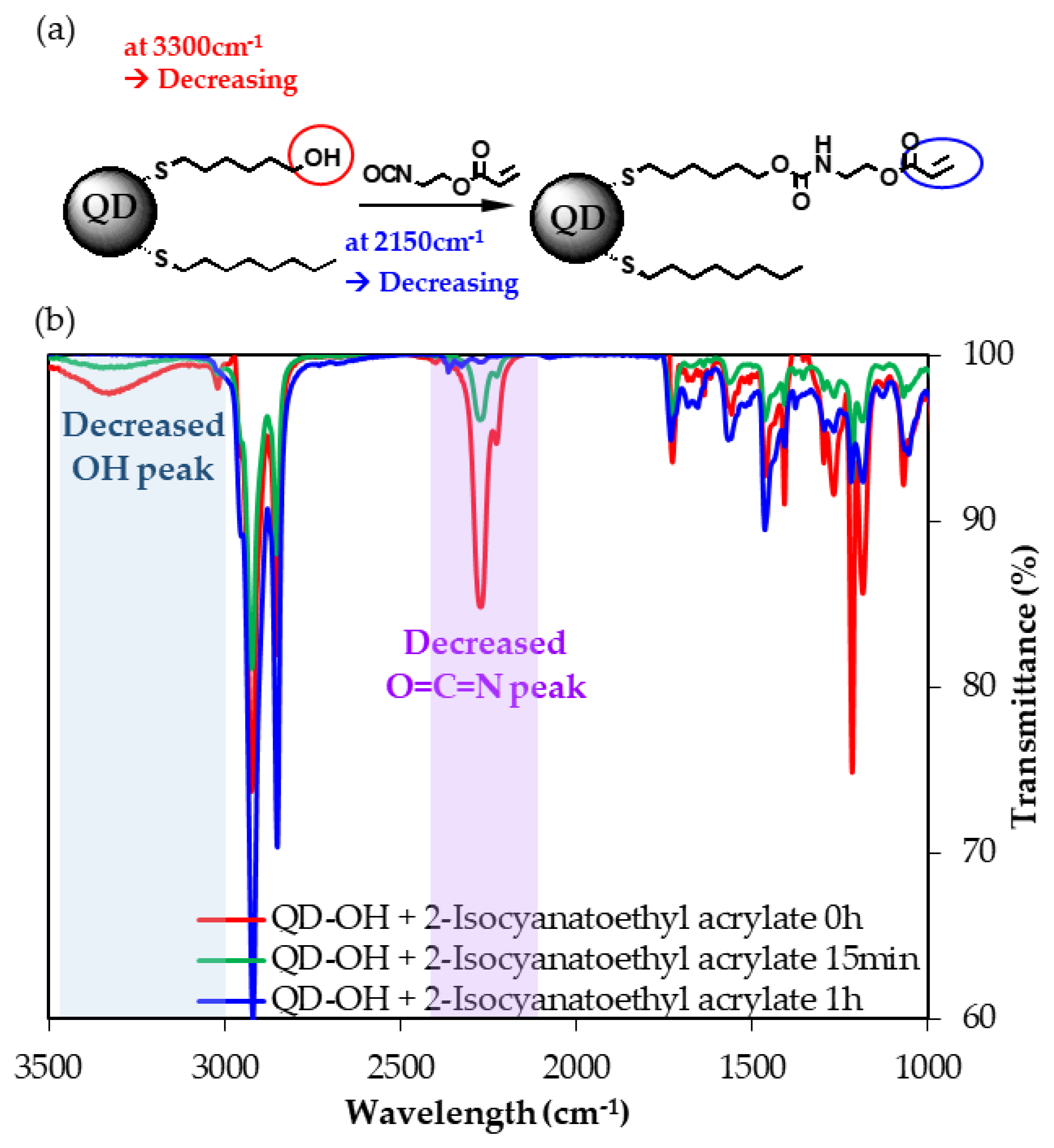 Polymers 11 00905 g001