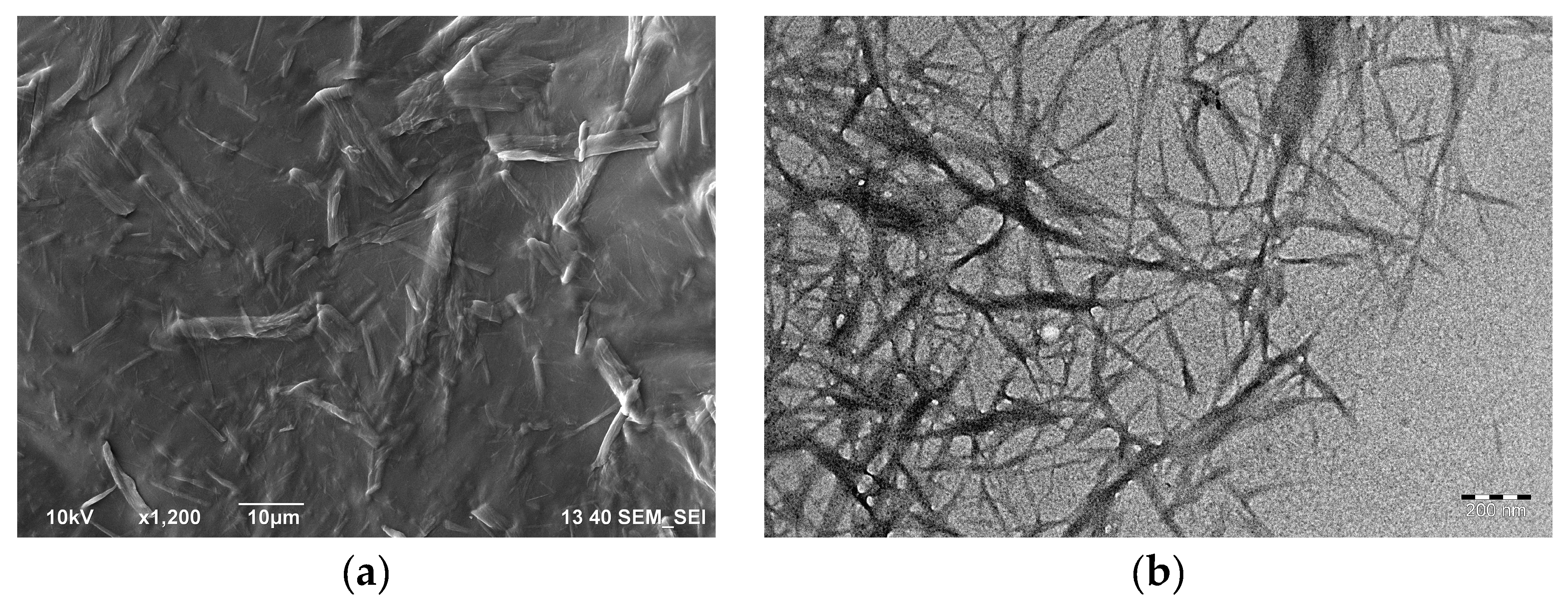 Polymers 11 00919 g001 Polymers 11 00919 g001