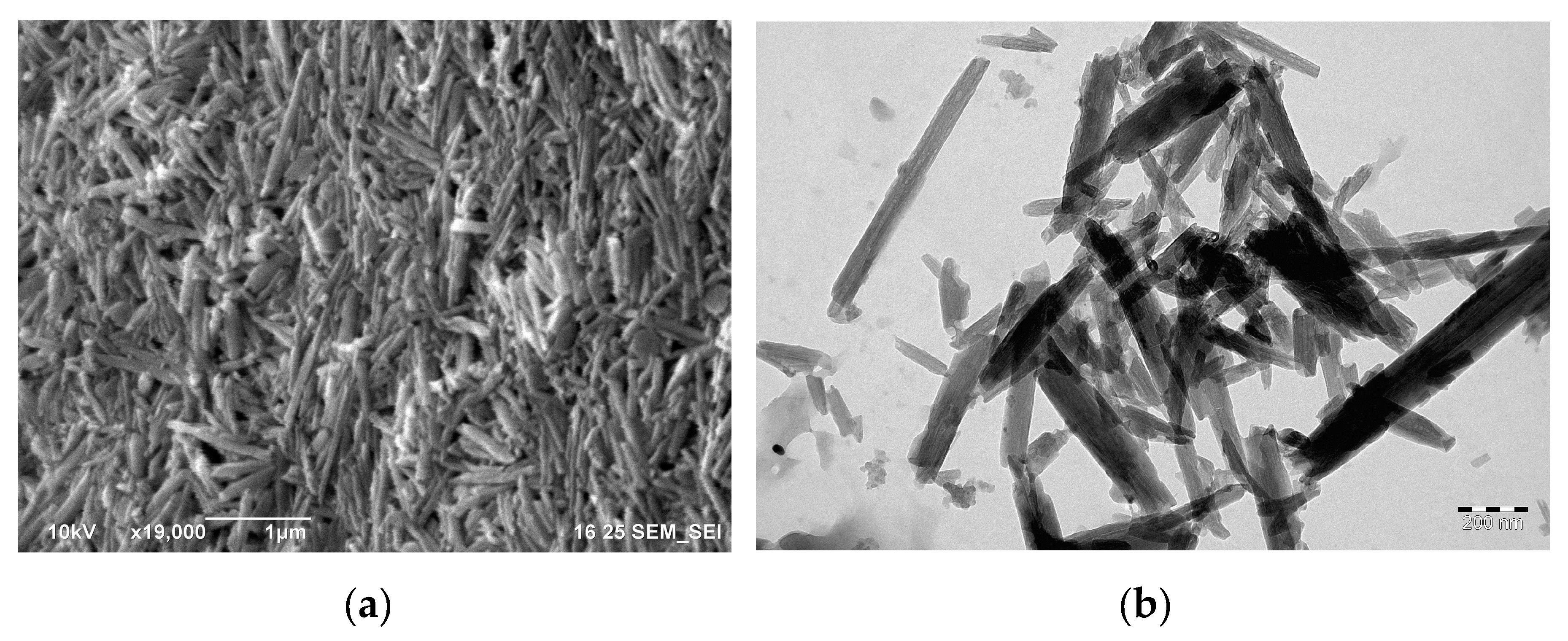Polymers 11 00919 g003 Polymers 11 00919 g003