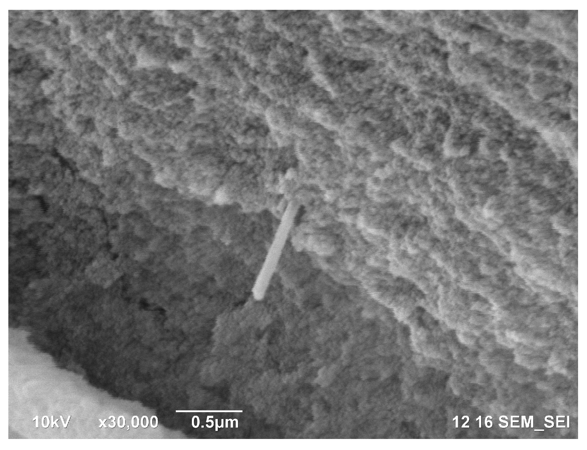 Polymers 11 00919 g007 Polymers 11 00919 g007