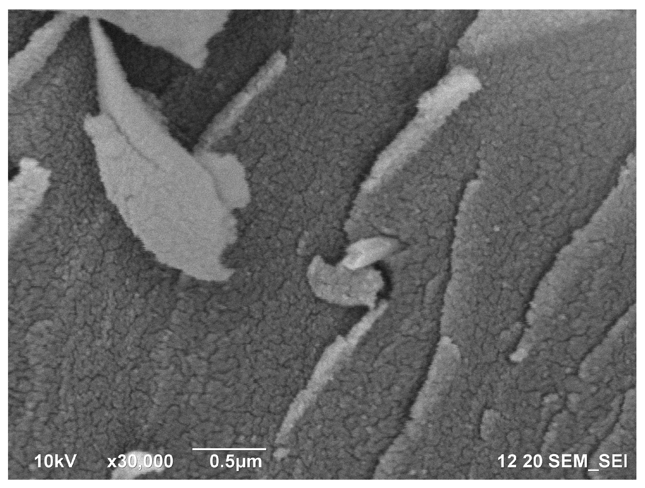 Polymers 11 00919 g0a4 Polymers 11 00919 g0a4