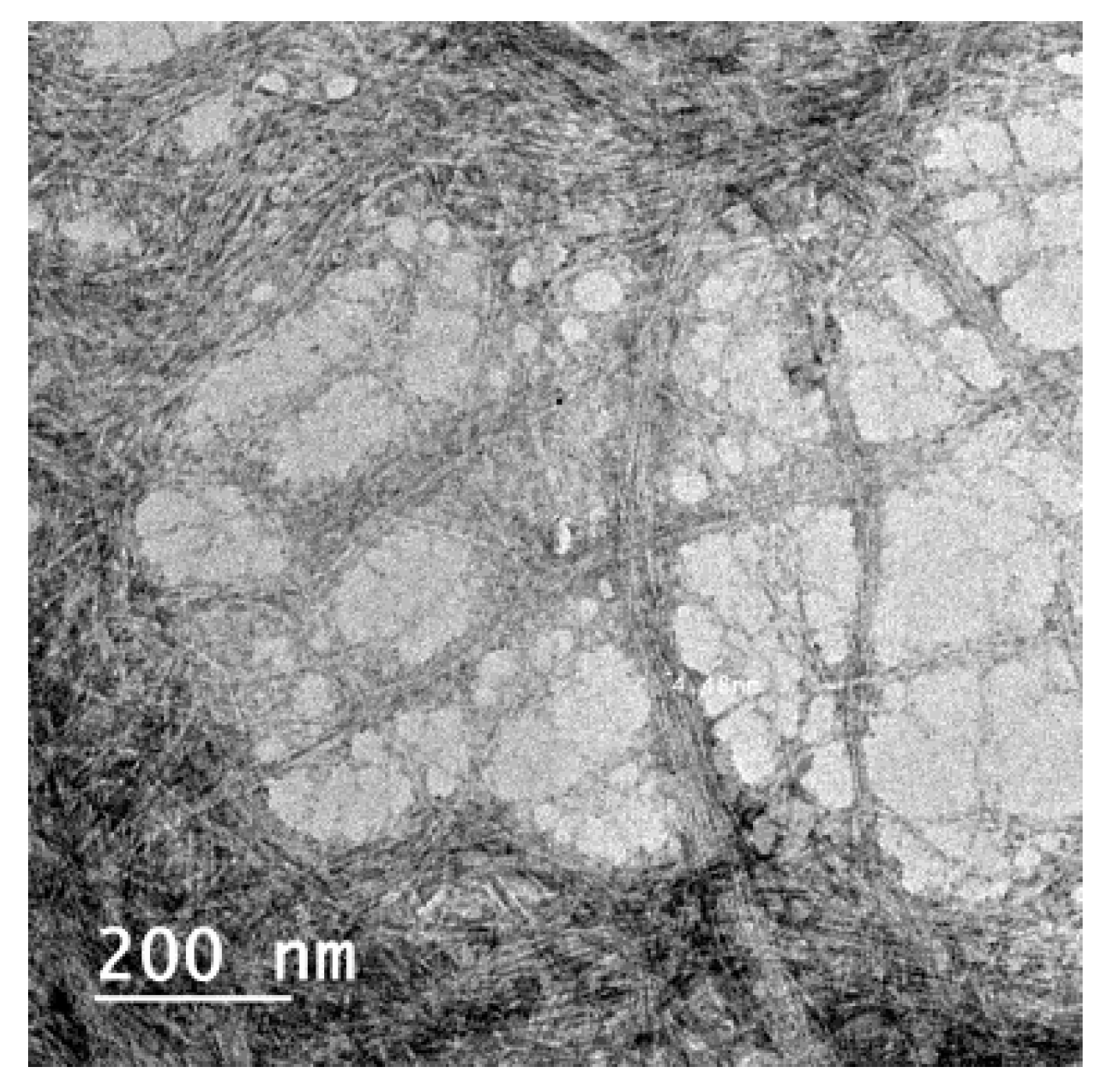 Polymers 11 00938 g001 Polymers 11 00938 g001