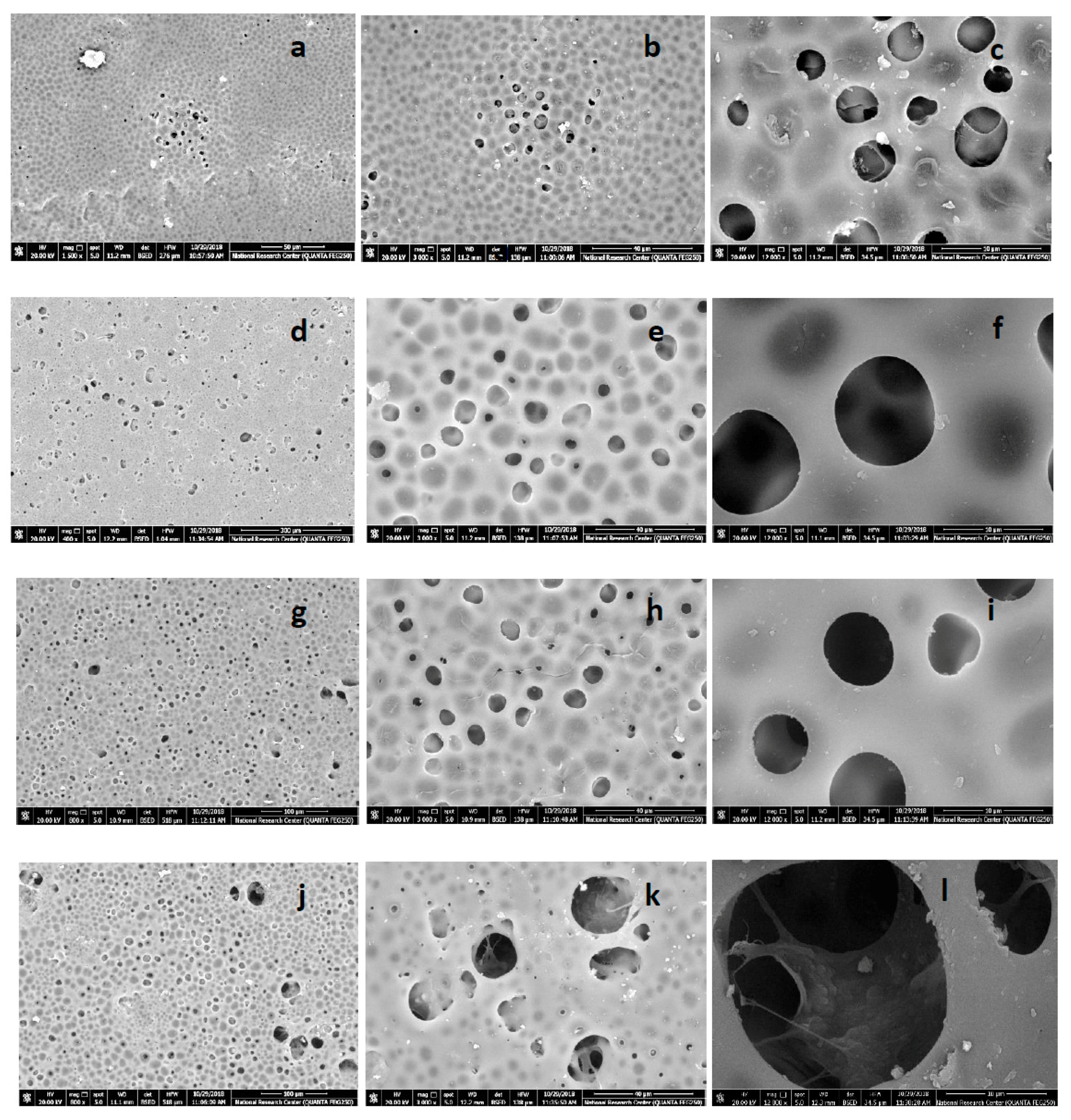 Polymers 11 00938 g003 Polymers 11 00938 g003