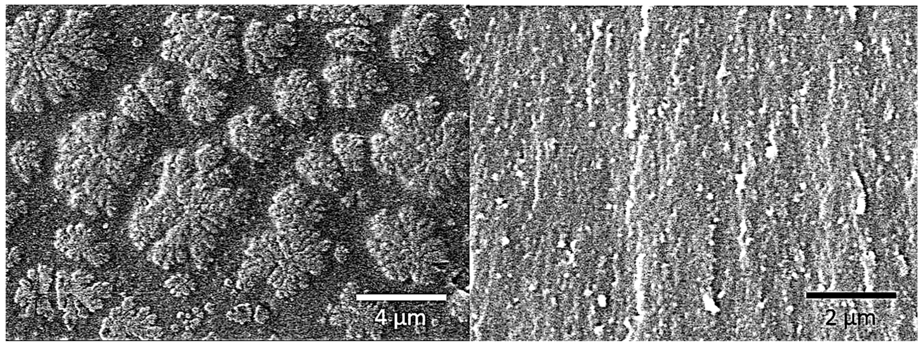 Polymers 11 00950 g007 Polymers 11 00950 g007