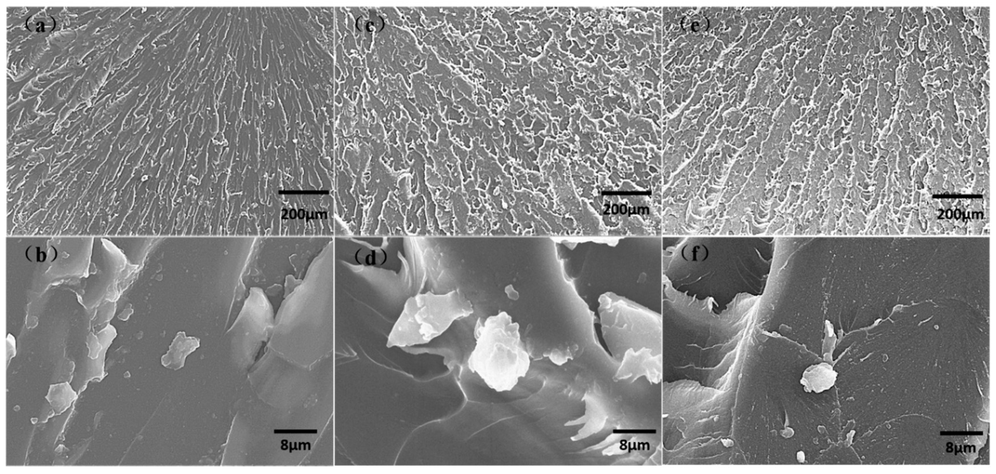 Polymers 11 00950 g013 Polymers 11 00950 g013