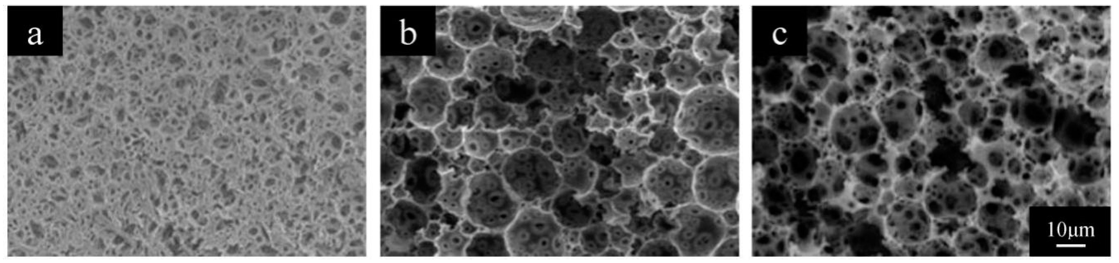 Polymers 11 00959 g002 Polymers 11 00959 g002