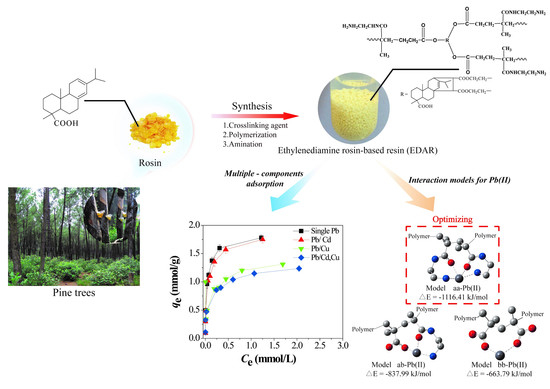 Polymers Free Full Text Mechanisms Of Adsorption Of Heavy Metal Cations From Waters By An Amino Bio Based Resin Derived From Rosin Html