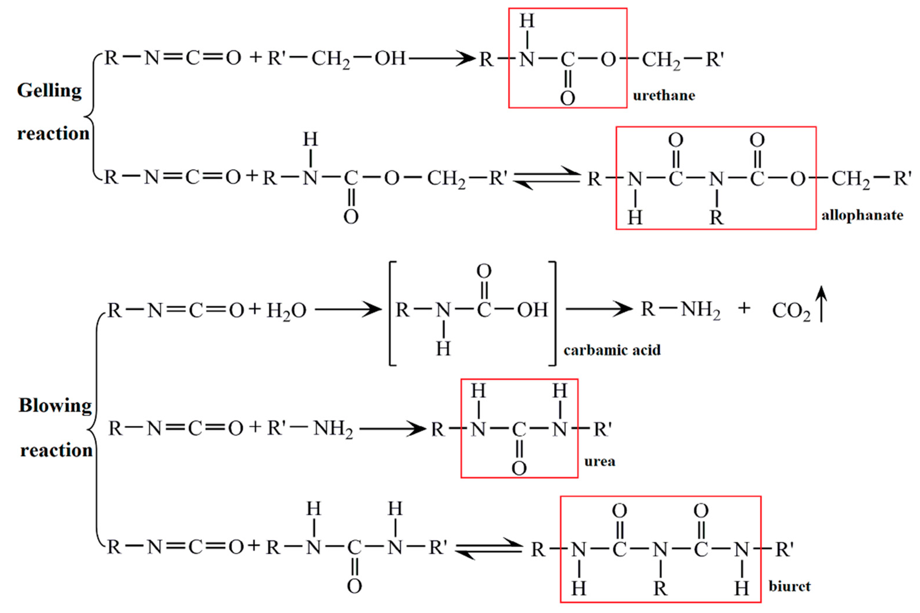 Polymers 11 00993 g007