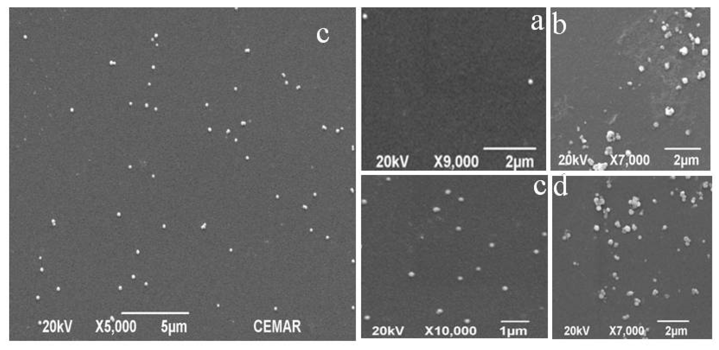 Polymers 11 01037 g007