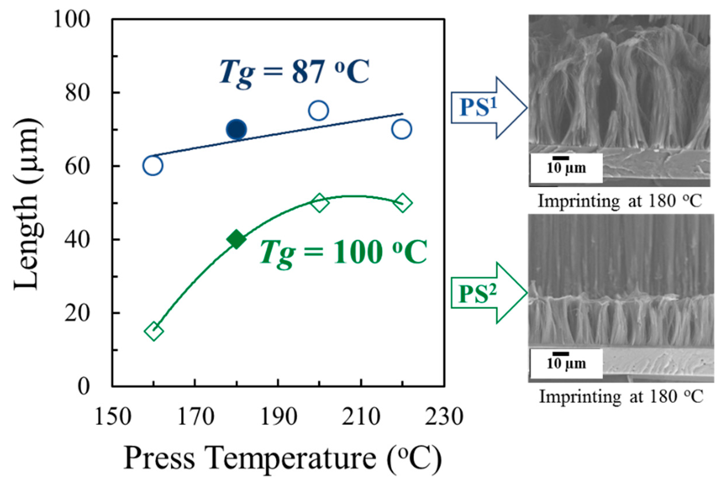 Polymers 11 01039 g003