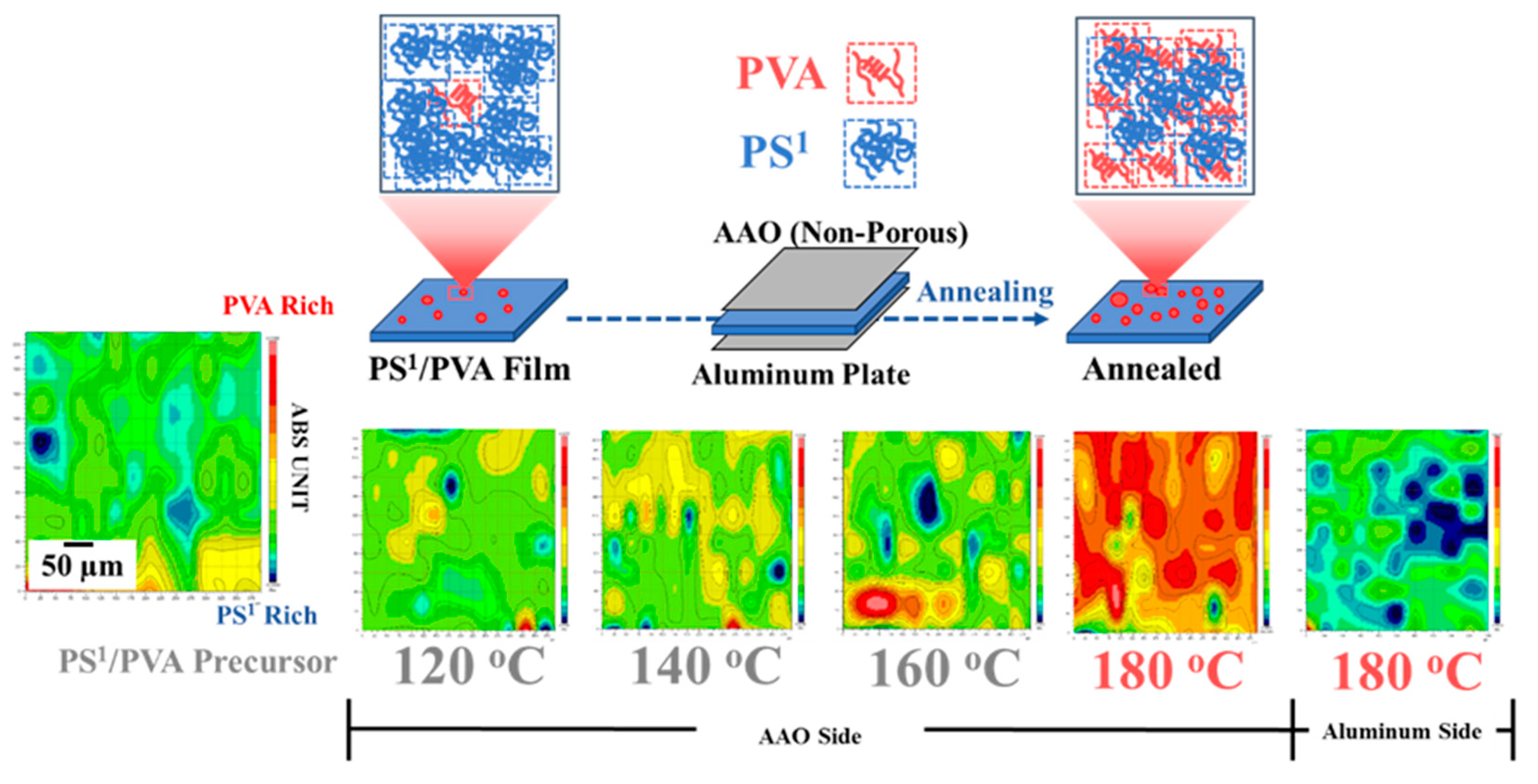 Polymers 11 01039 g008