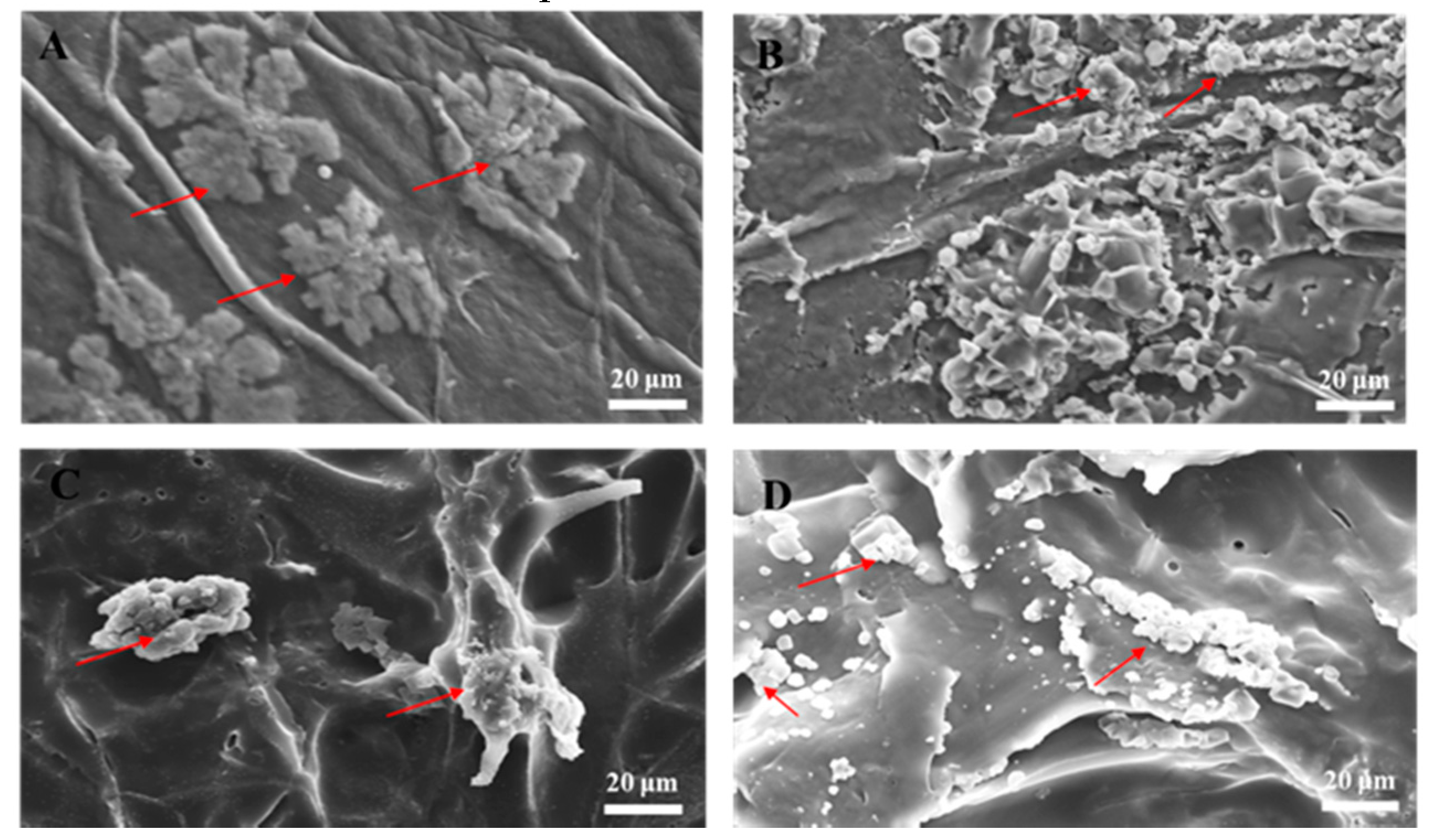 Polymers 11 01048 g003 Polymers 11 01048 g003