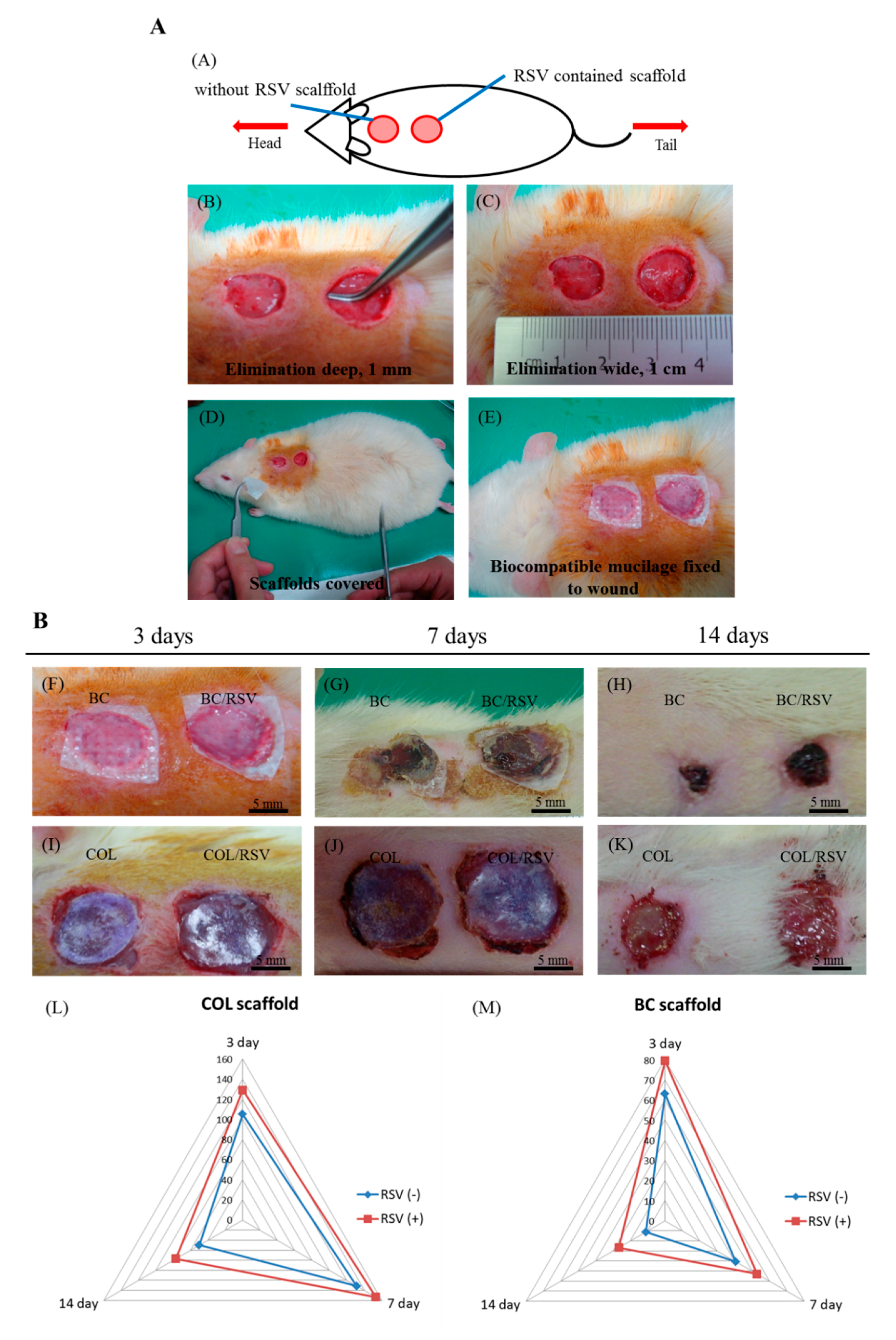 Polymers 11 01048 g008 Polymers 11 01048 g008