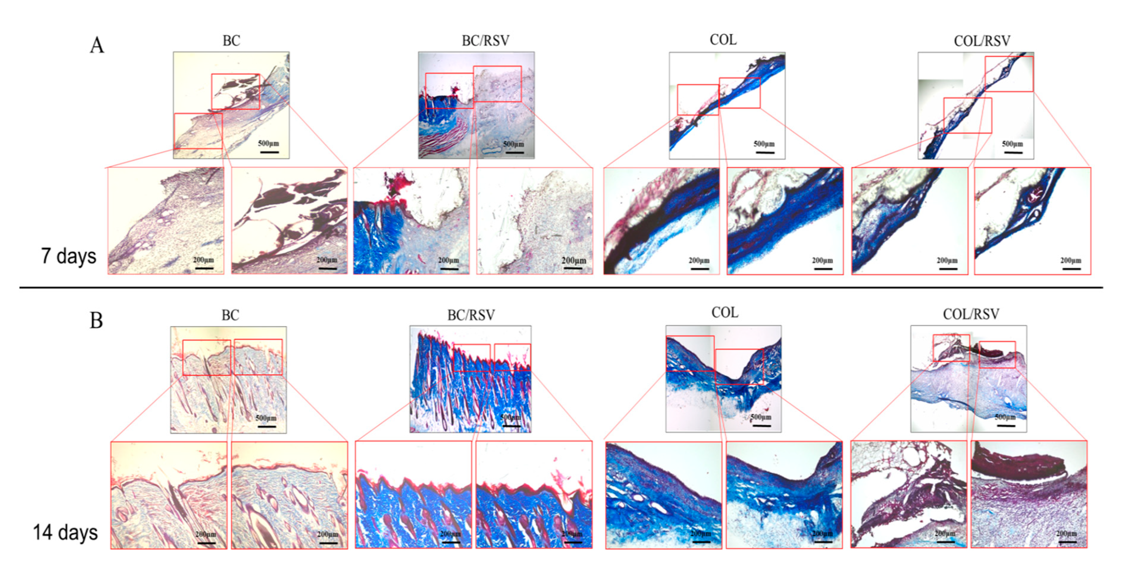 Polymers 11 01048 g009 Polymers 11 01048 g009