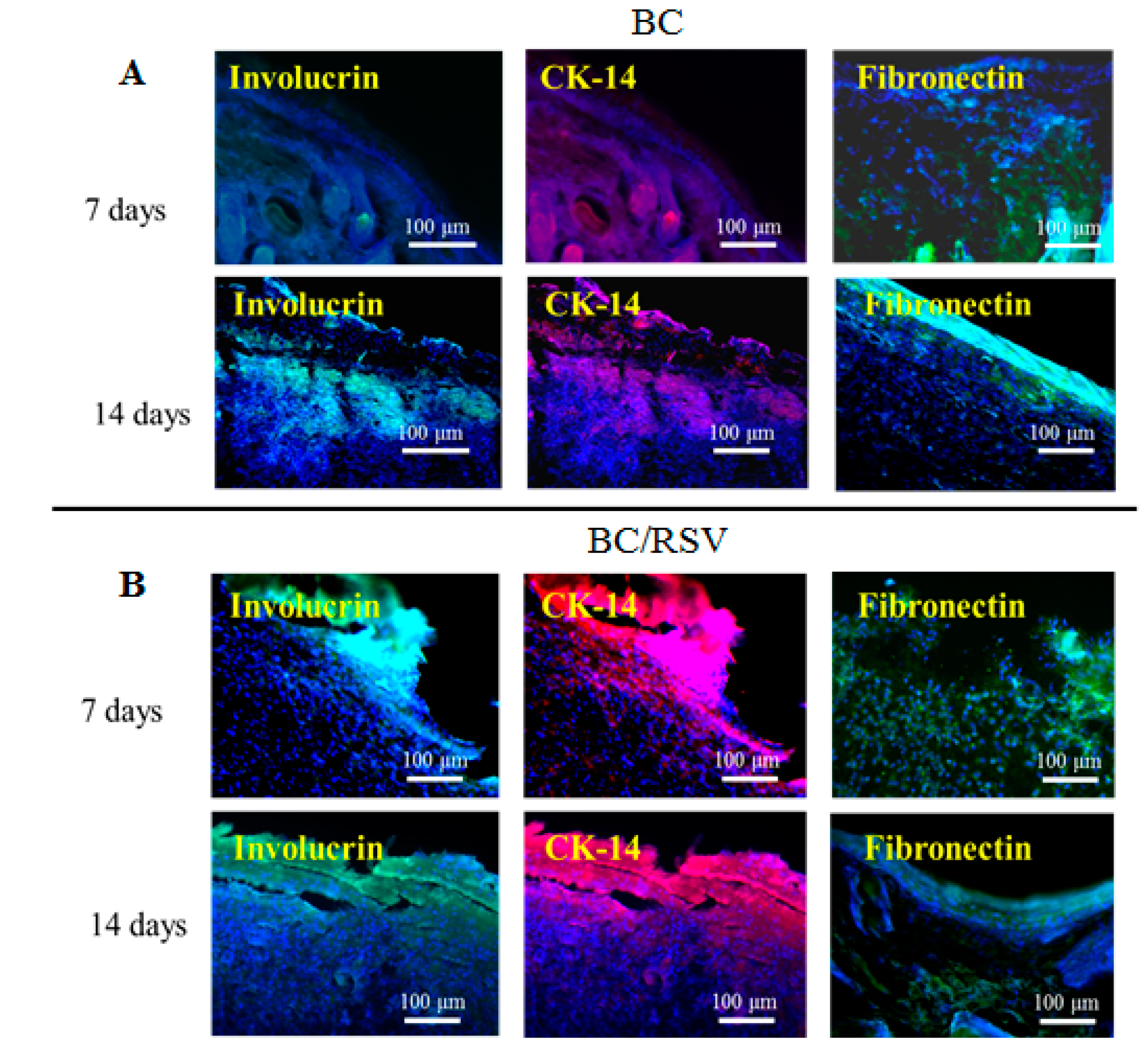 Polymers 11 01048 g010 Polymers 11 01048 g010