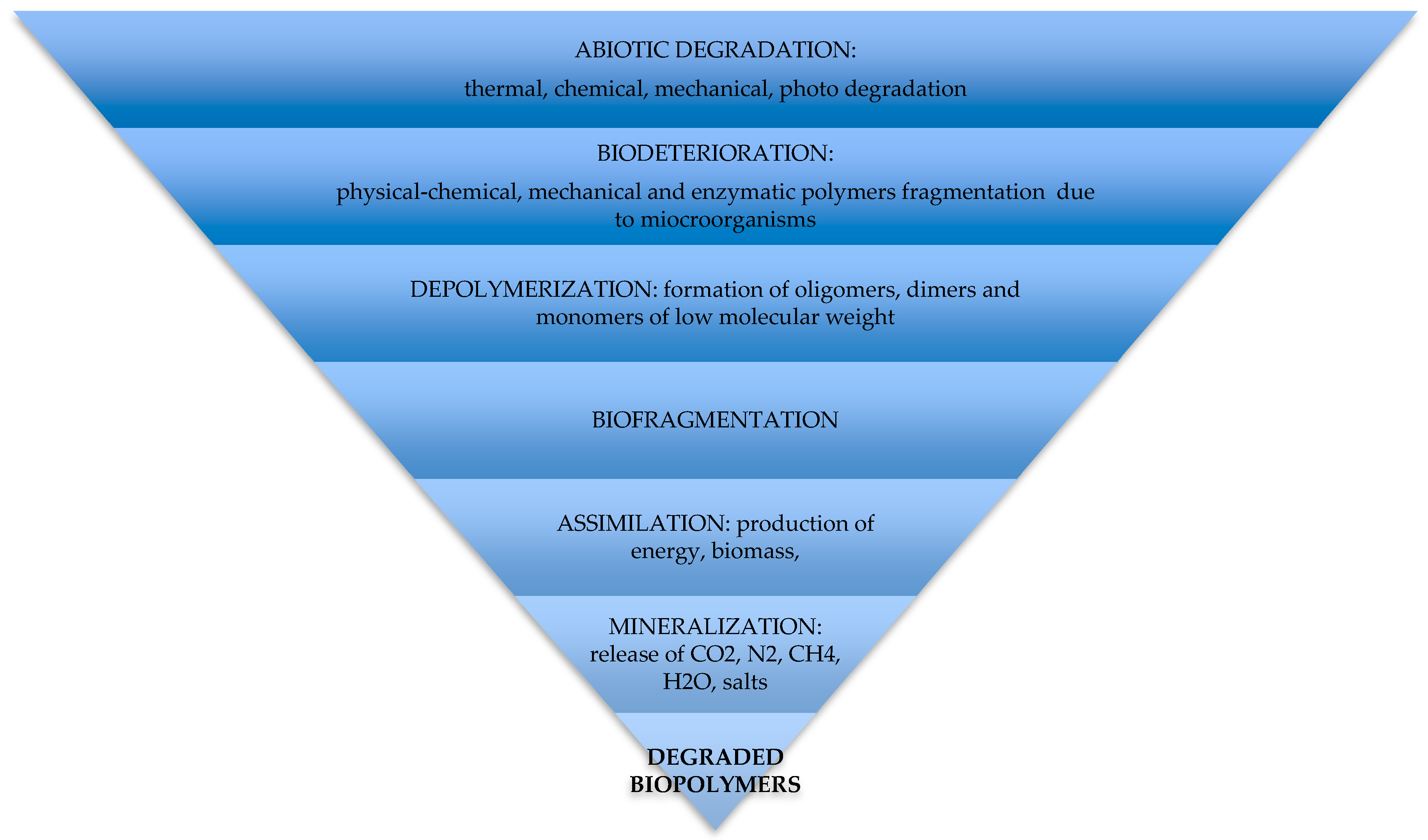 Polymers 11 01066 g005
