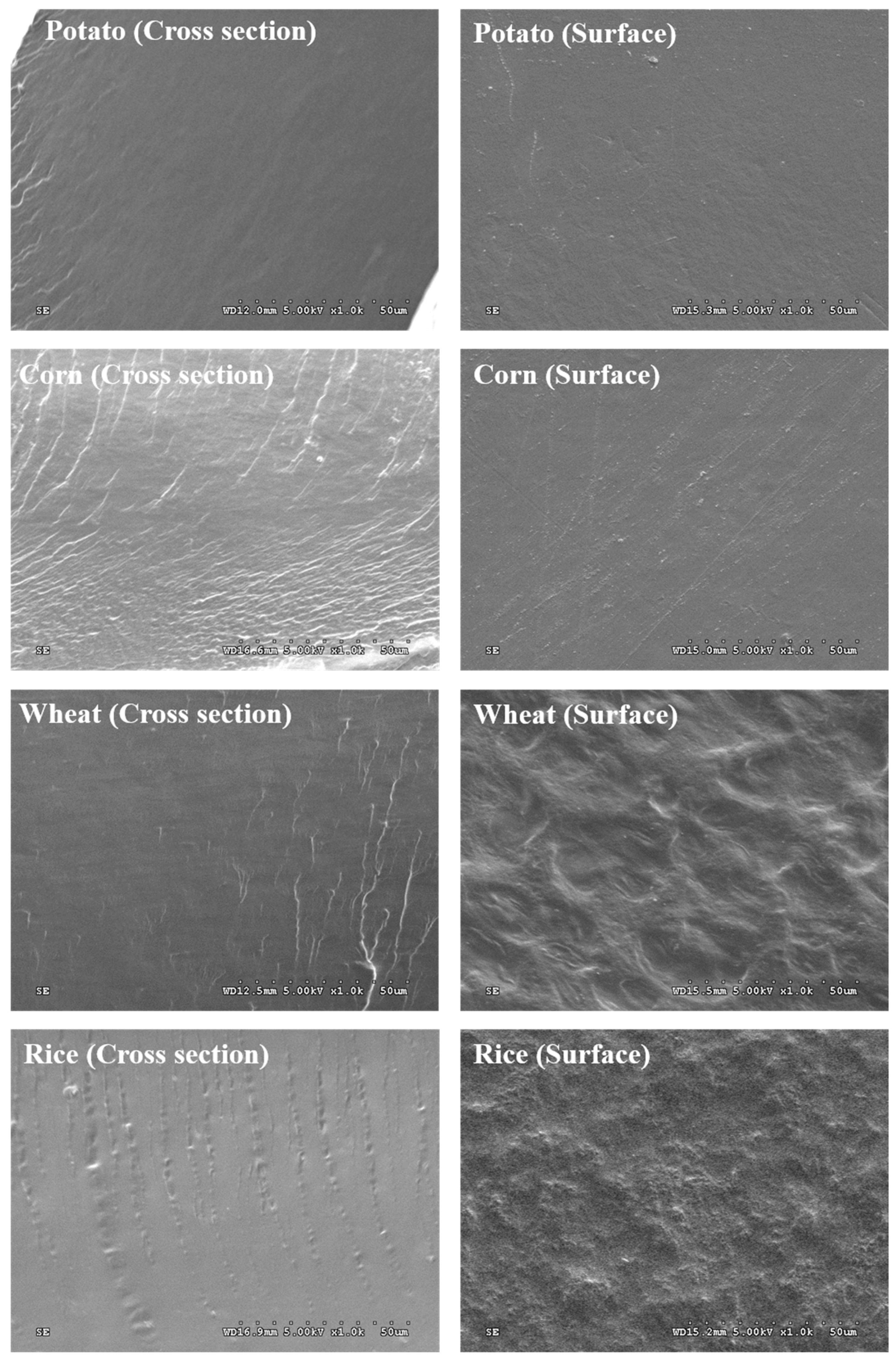 Polymers 11 01084 g004