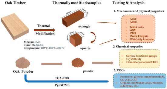 Polymers | Free Full-Text | New Perspective on Wood Thermal