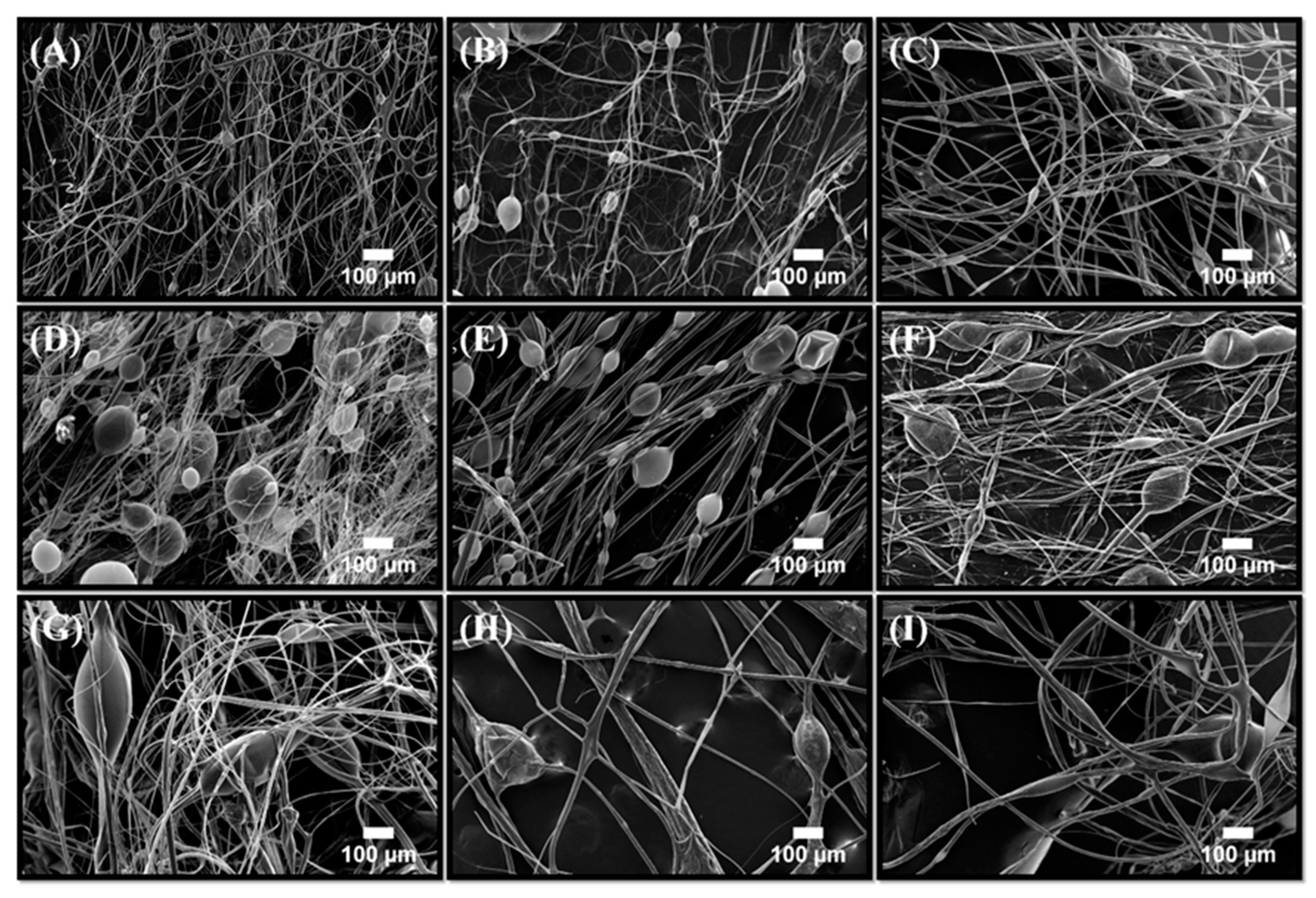 Polymers 11 01148 g004 Polymers 11 01148 g004