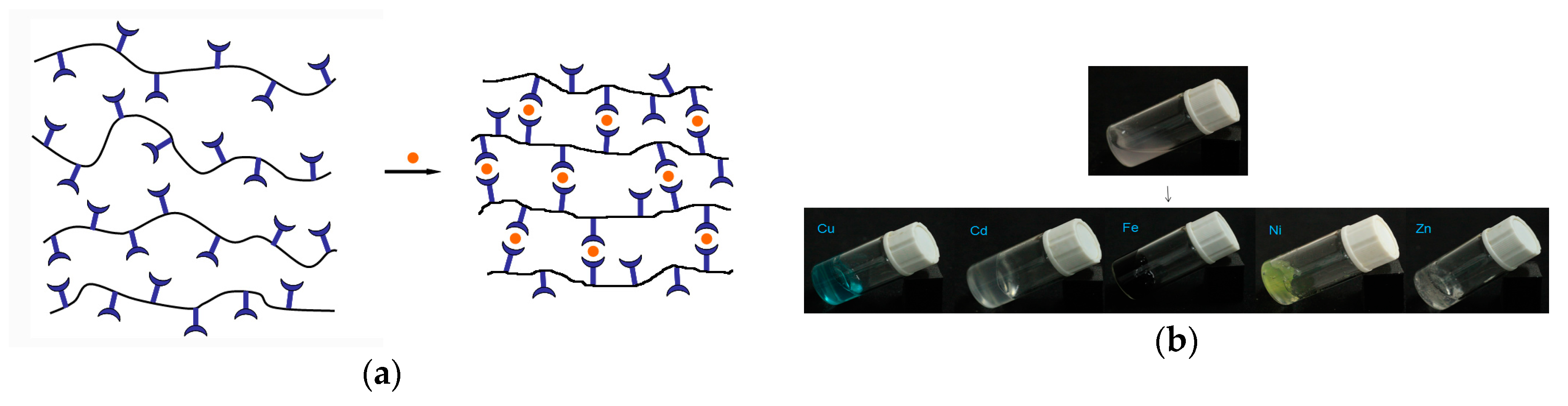 Polymers 11 01152 g005