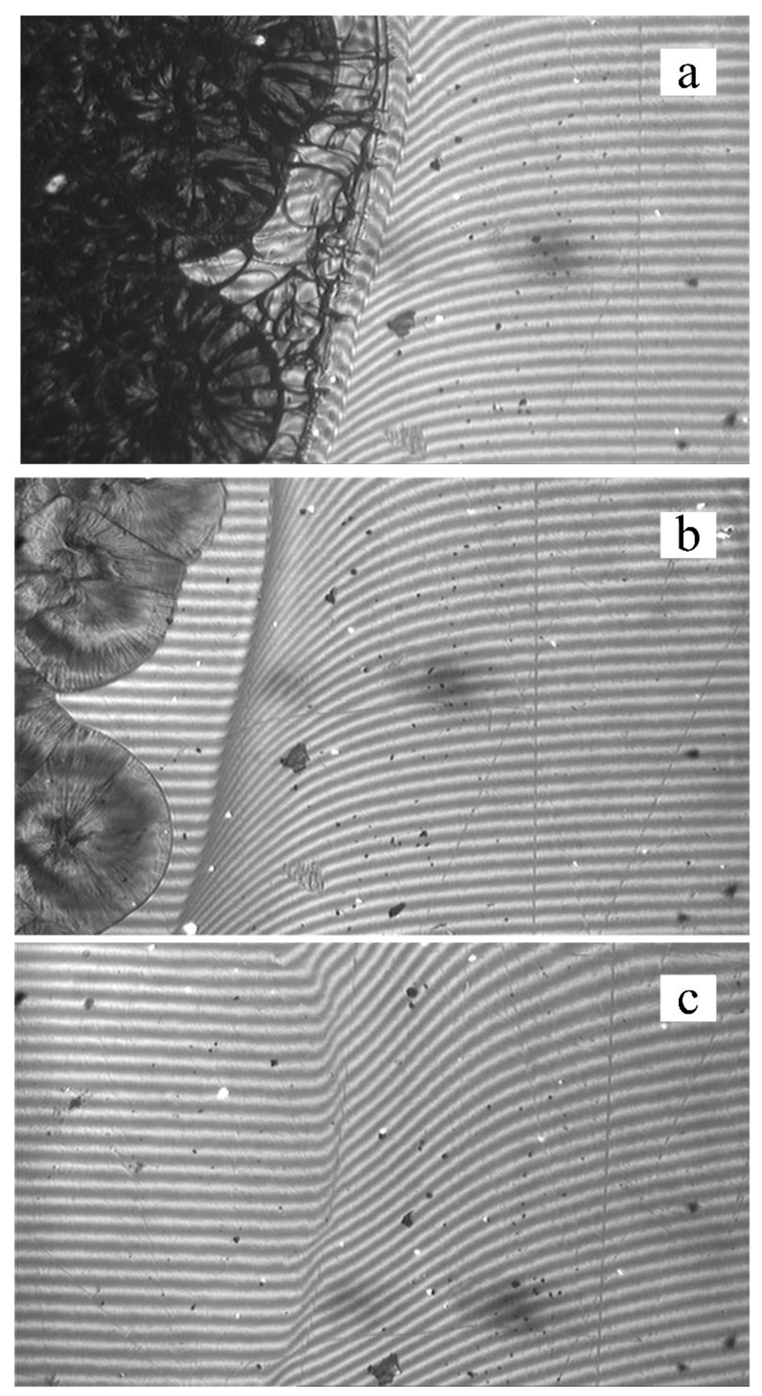 Polymers 11 01191 g003