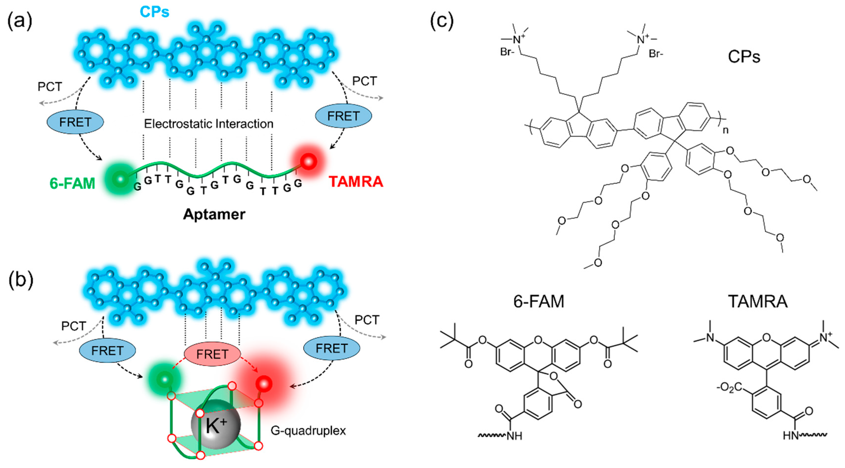 Polymers 11 01206 g001
