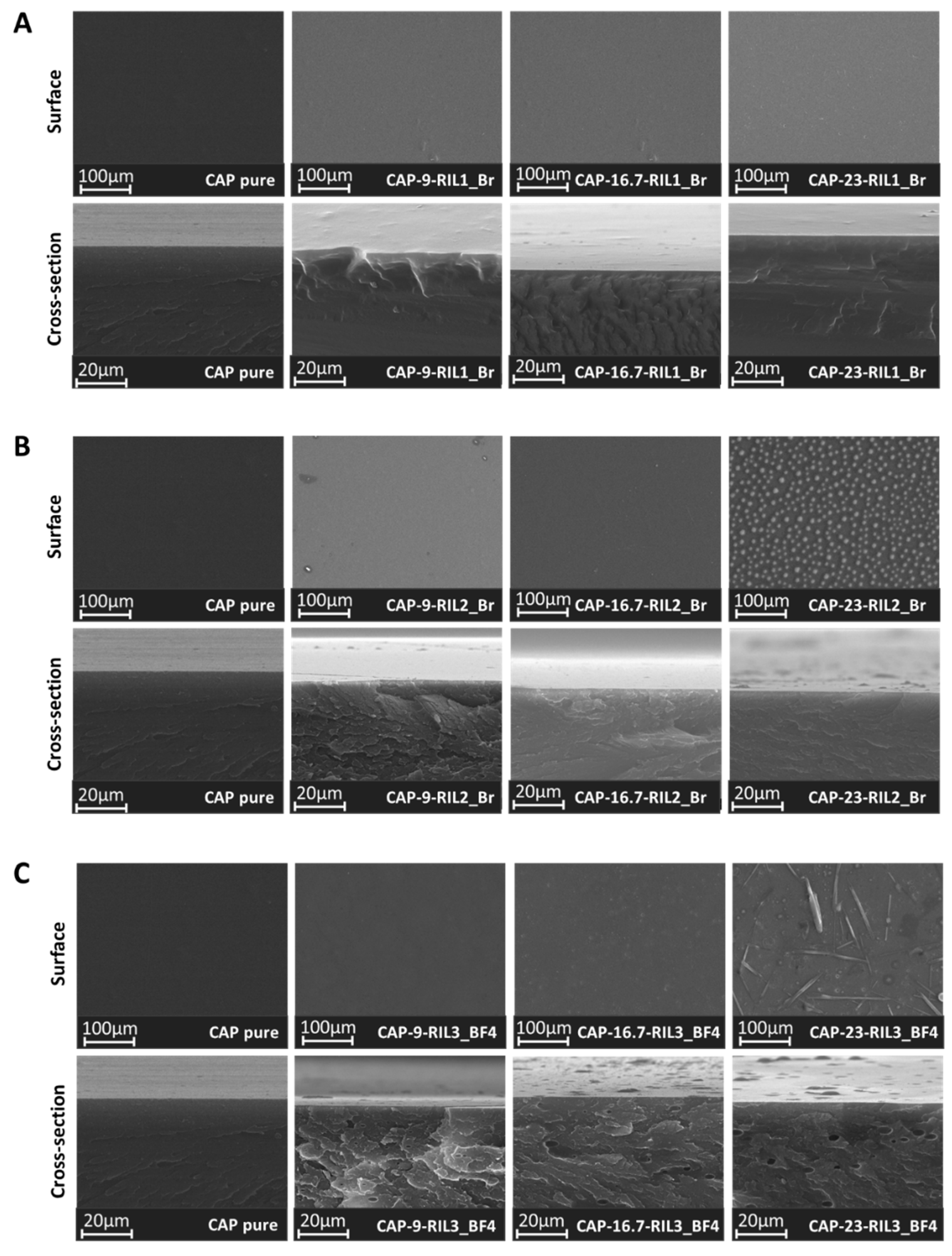 Polymers 11 01217 g007 Polymers 11 01217 g007