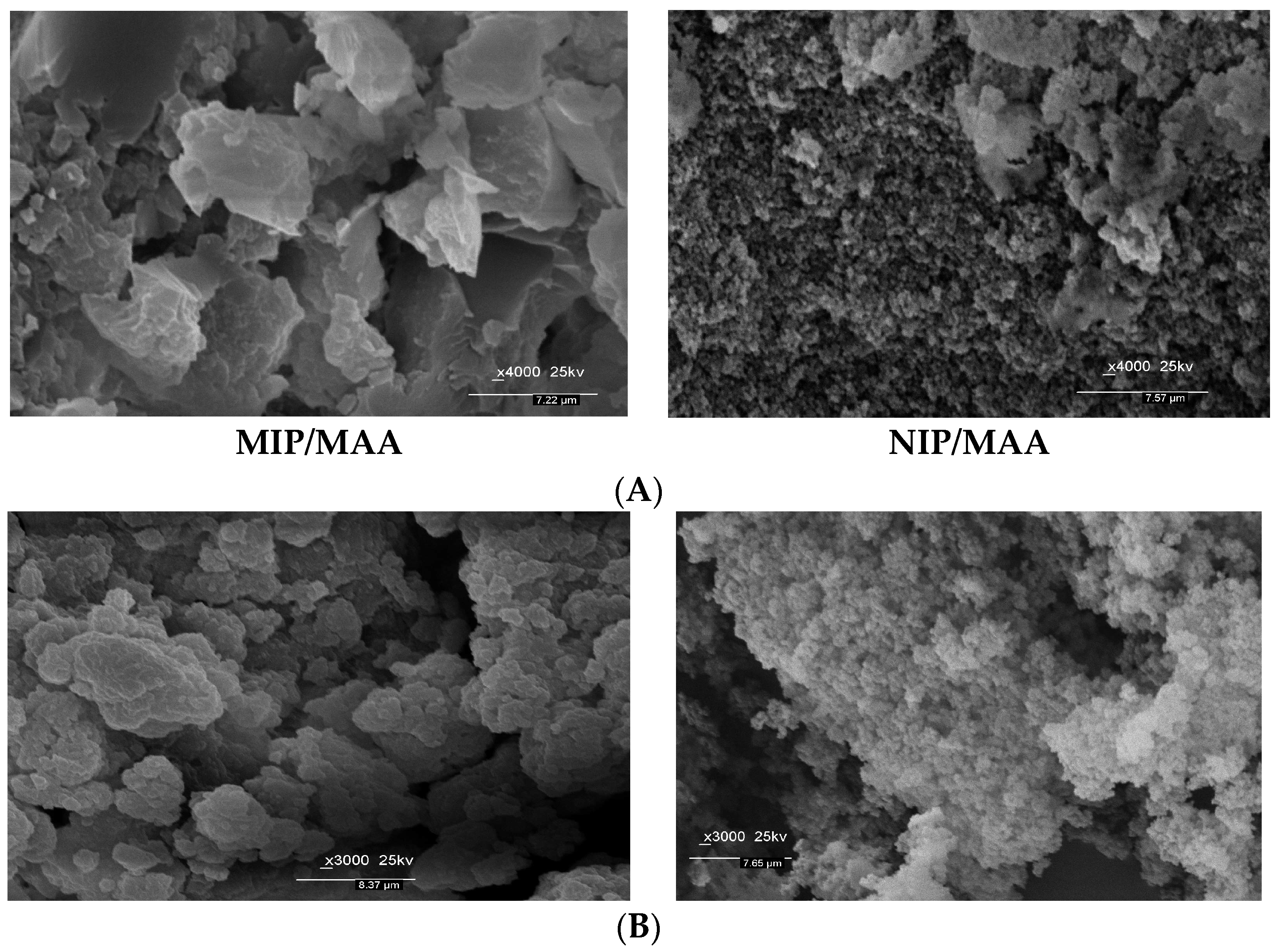 Polymers 11 01232 g001