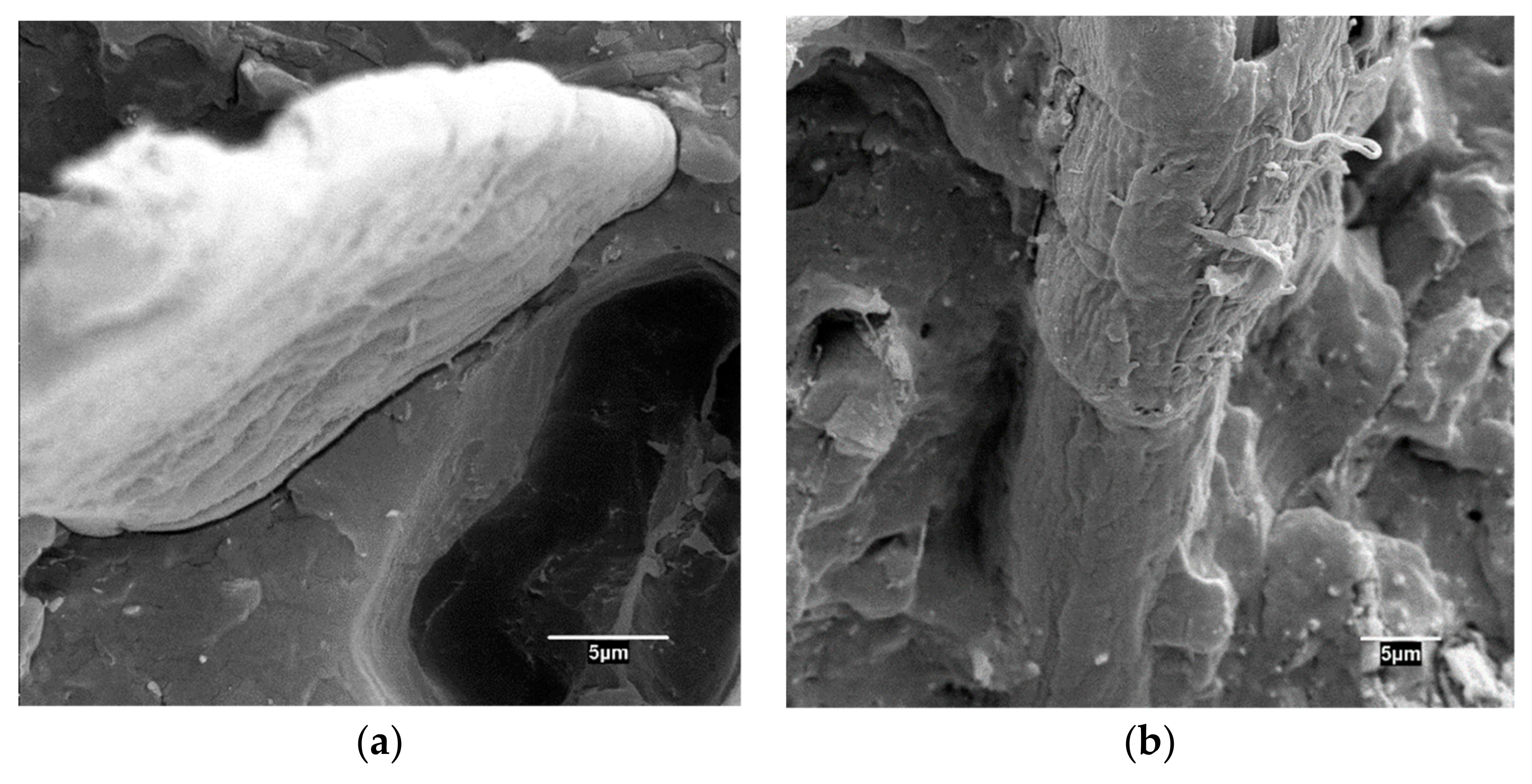 Polymers 11 01244 g002