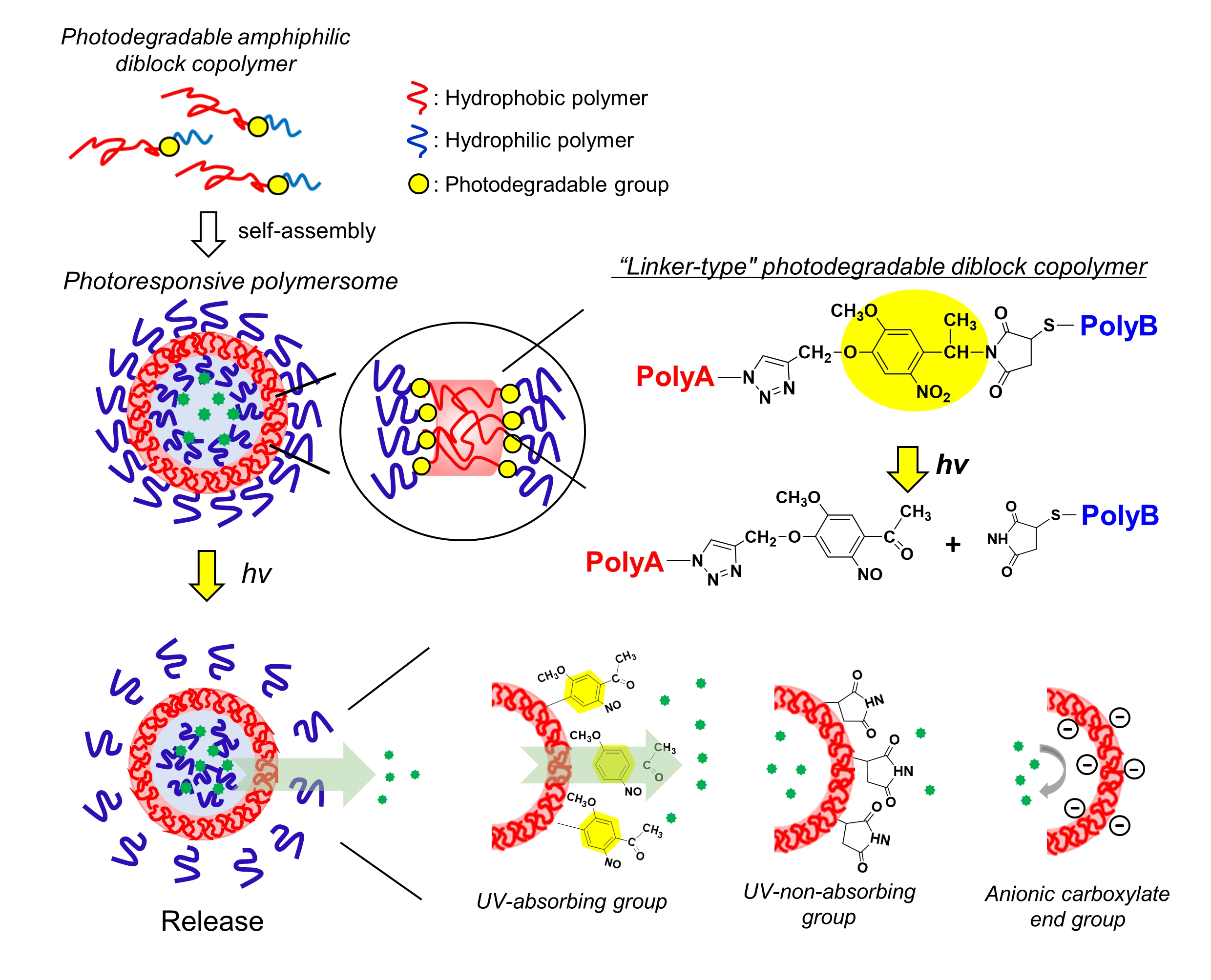 Polymers | Free Full-Text | Preparation Of A Series Of Photoresponsive ...