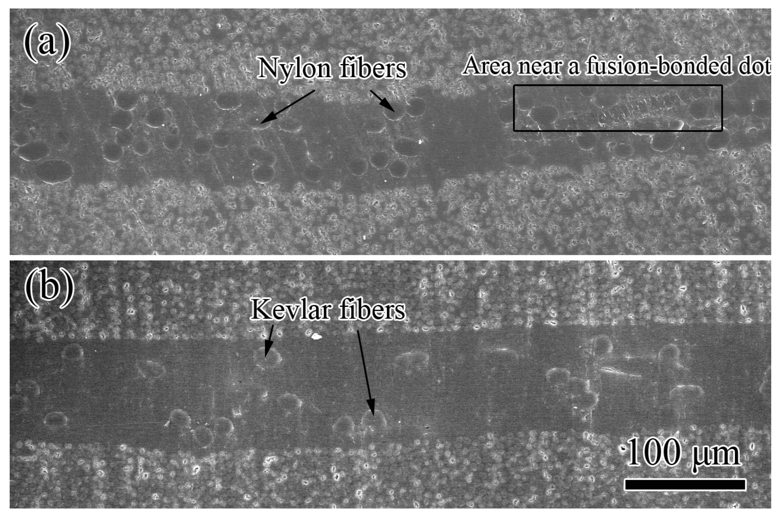 Polymers 11 01260 g003 Polymers 11 01260 g003