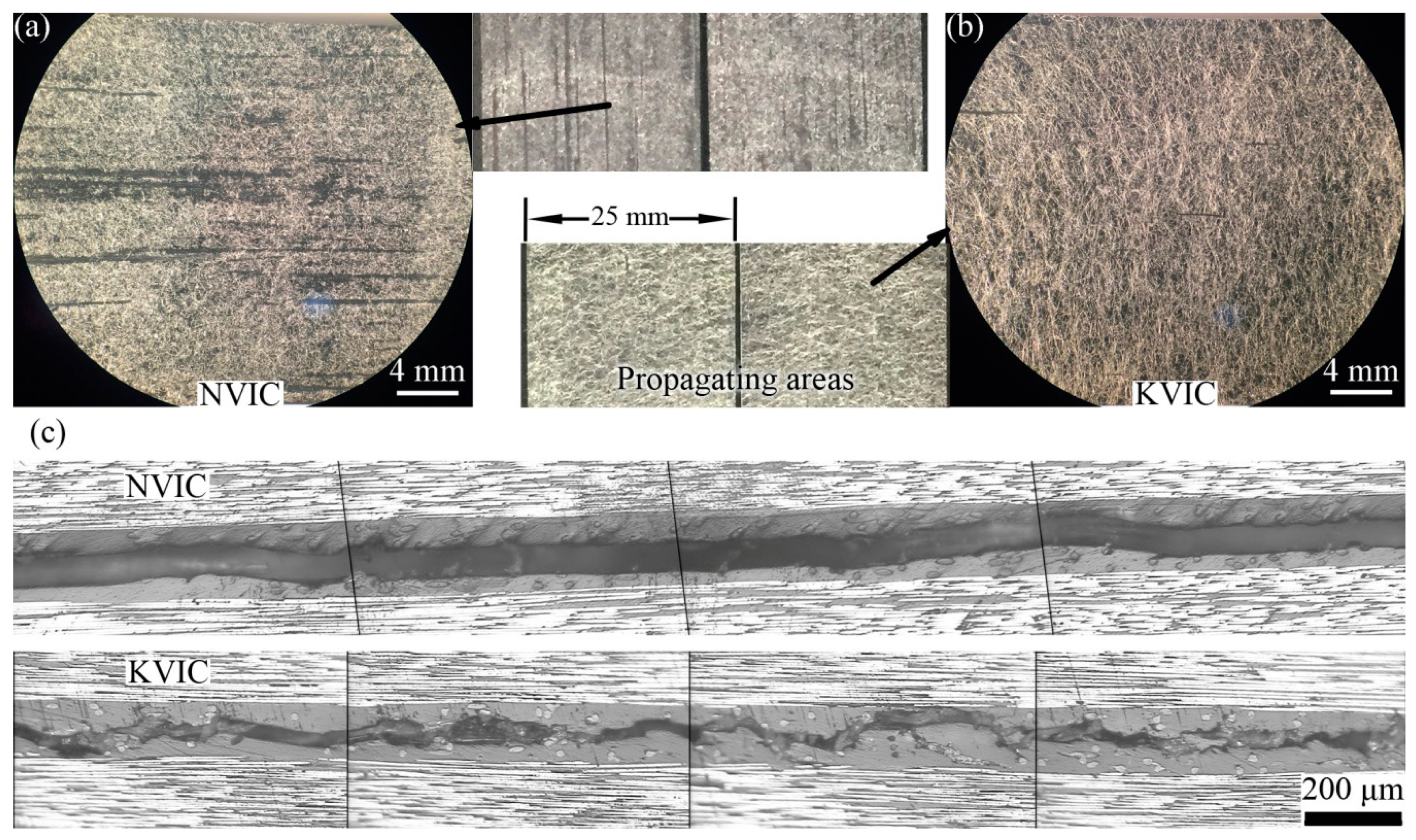 Polymers 11 01260 g004 Polymers 11 01260 g004