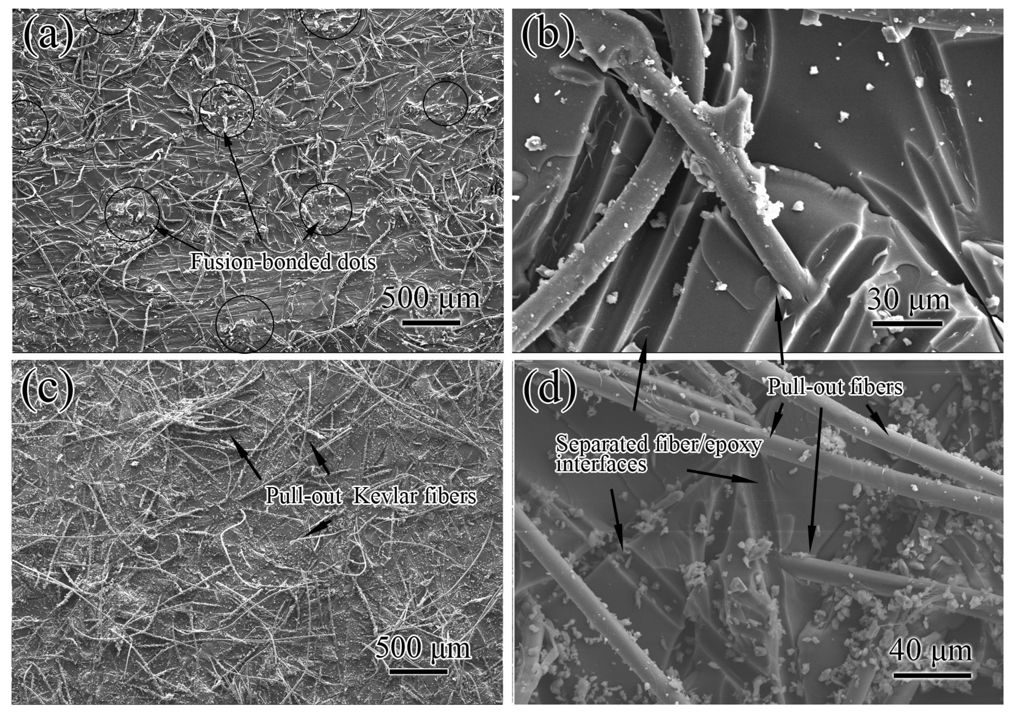 Polymers 11 01260 g005 Polymers 11 01260 g005