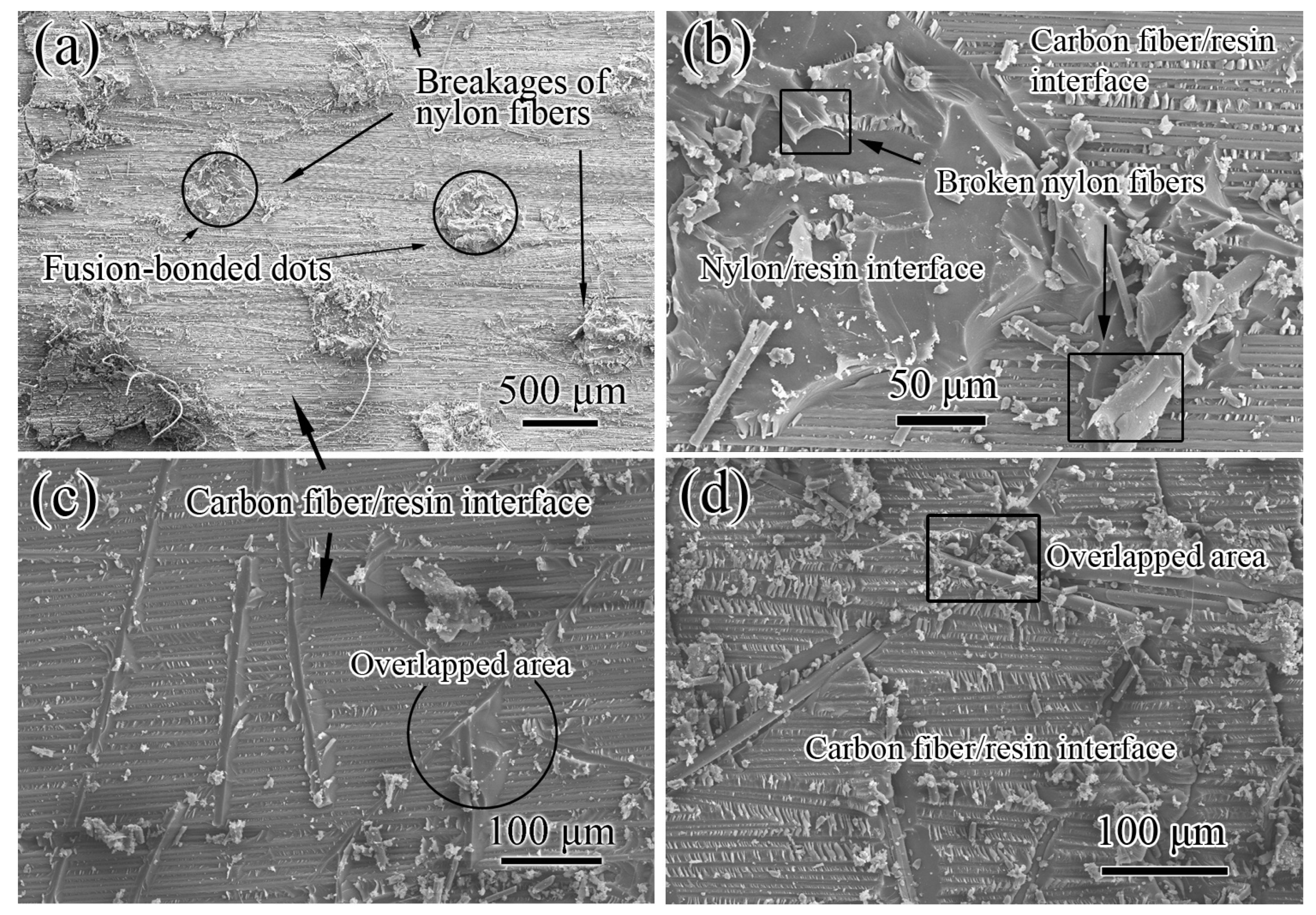 Polymers 11 01260 g007 Polymers 11 01260 g007