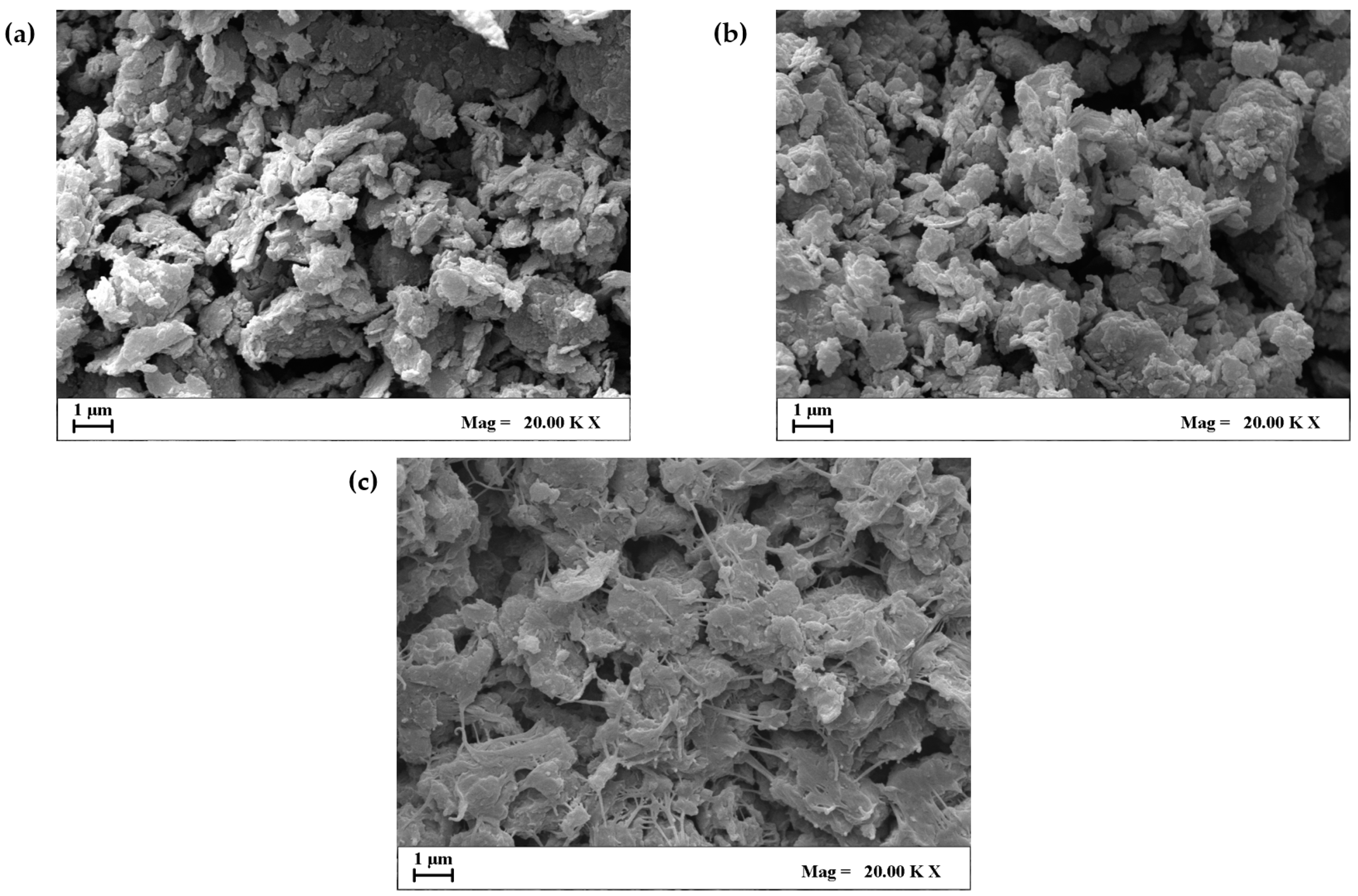 Polymers 11 01261 g004 Polymers 11 01261 g004