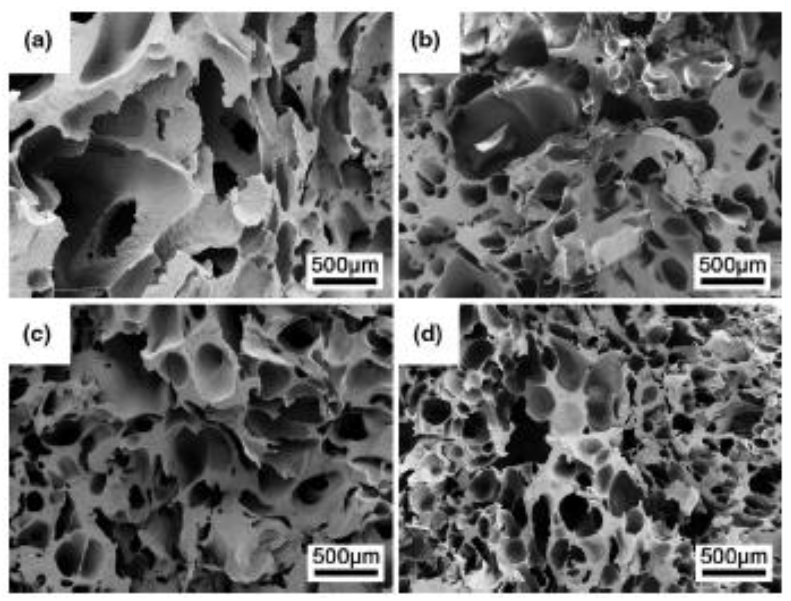 Polymers 11 01270 g005