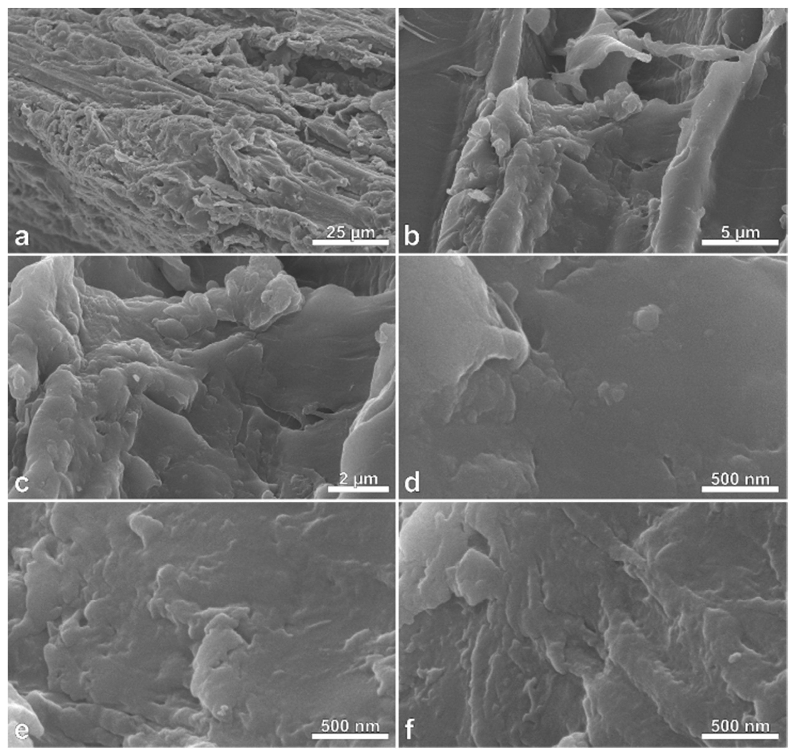 Polymers | Free Full-Text | Massaranduba Sawdust: A Potential Source of  Charcoal and Activated Carbon
