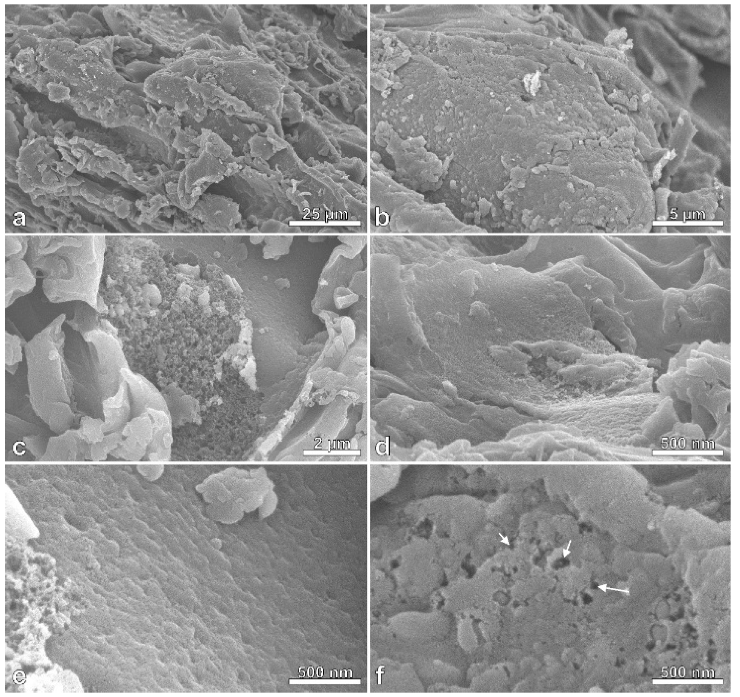 Polymers 11 01276 g003 Polymers 11 01276 g003