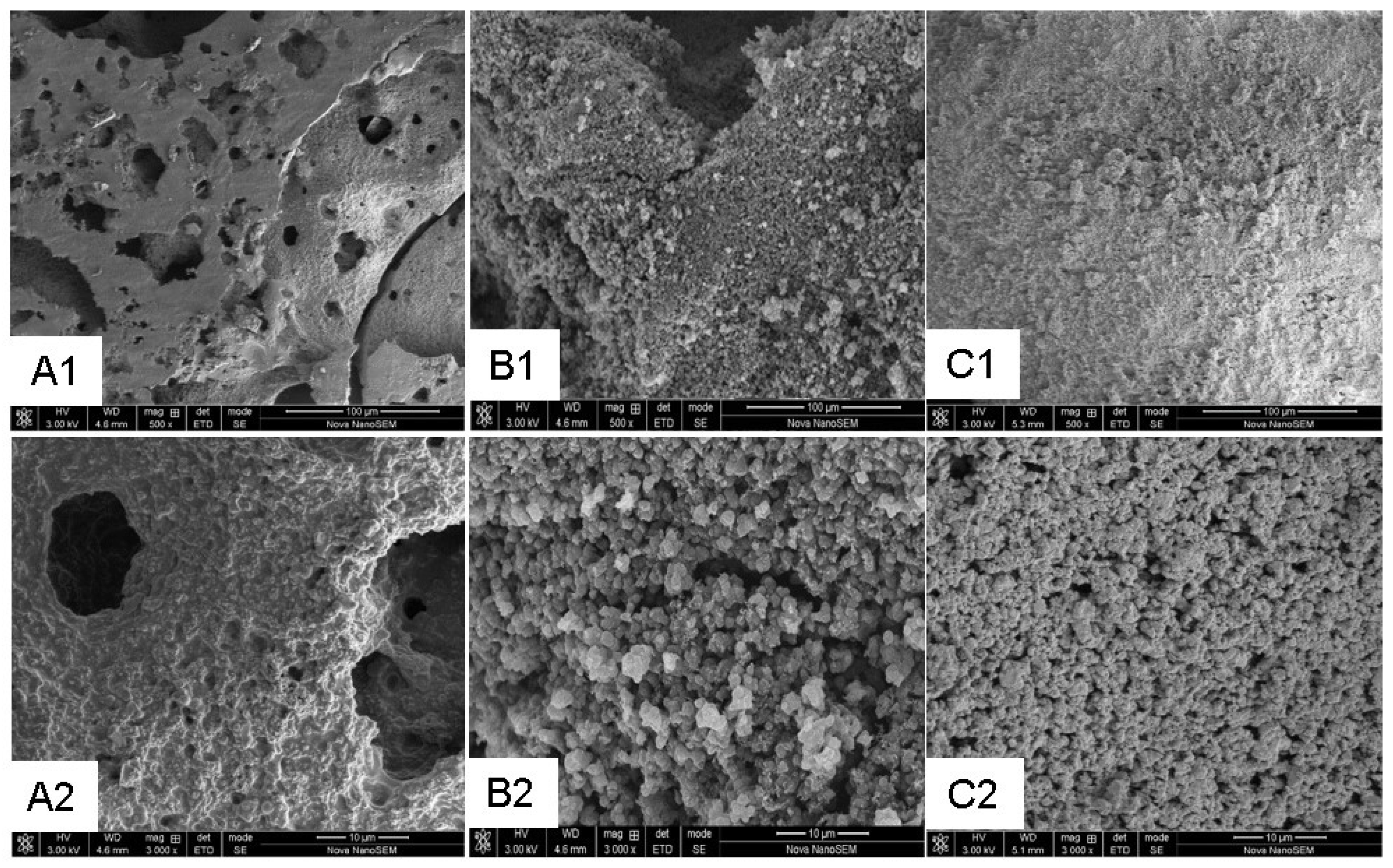 Polymers 11 01304 g009