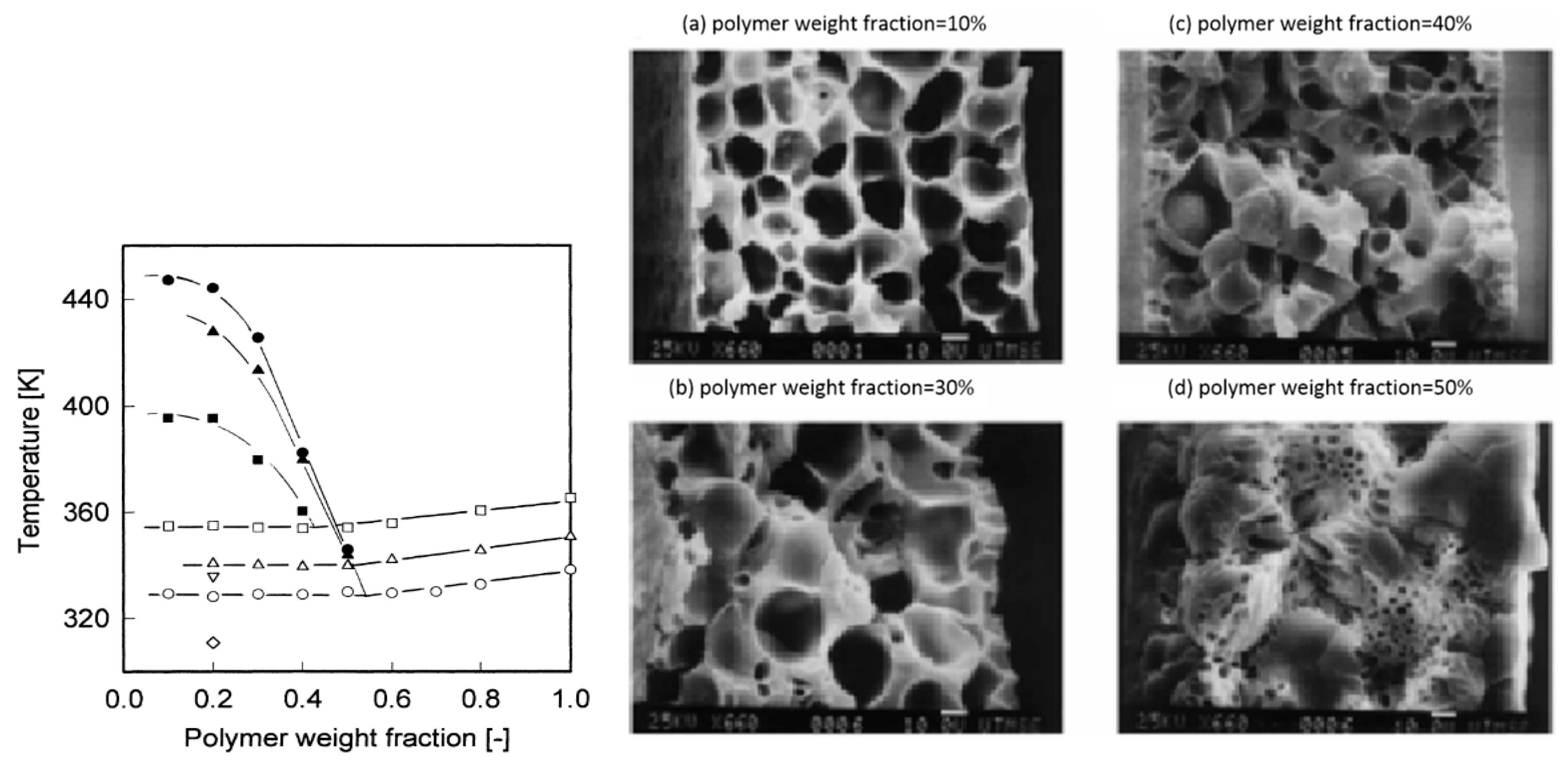 Polymers 11 01310 g006 Polymers 11 01310 g006