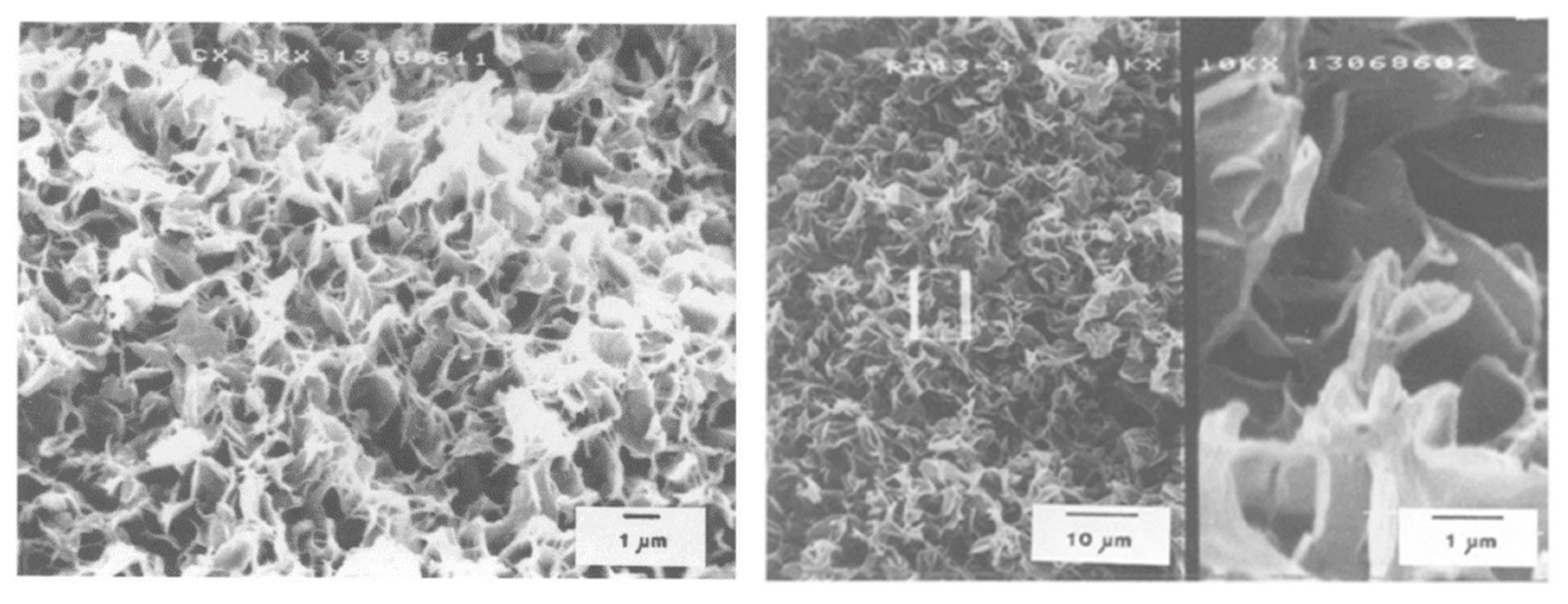 Polymers 11 01310 g007 Polymers 11 01310 g007