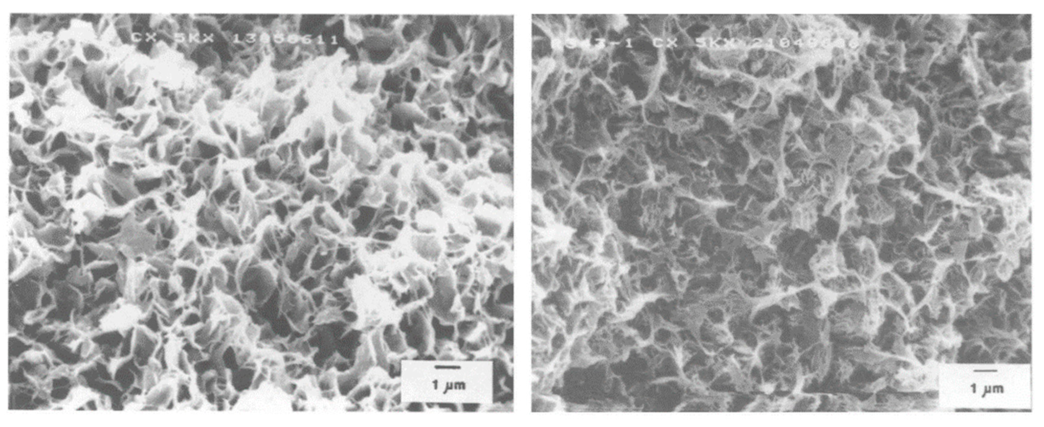 Polymers 11 01310 g008 Polymers 11 01310 g008