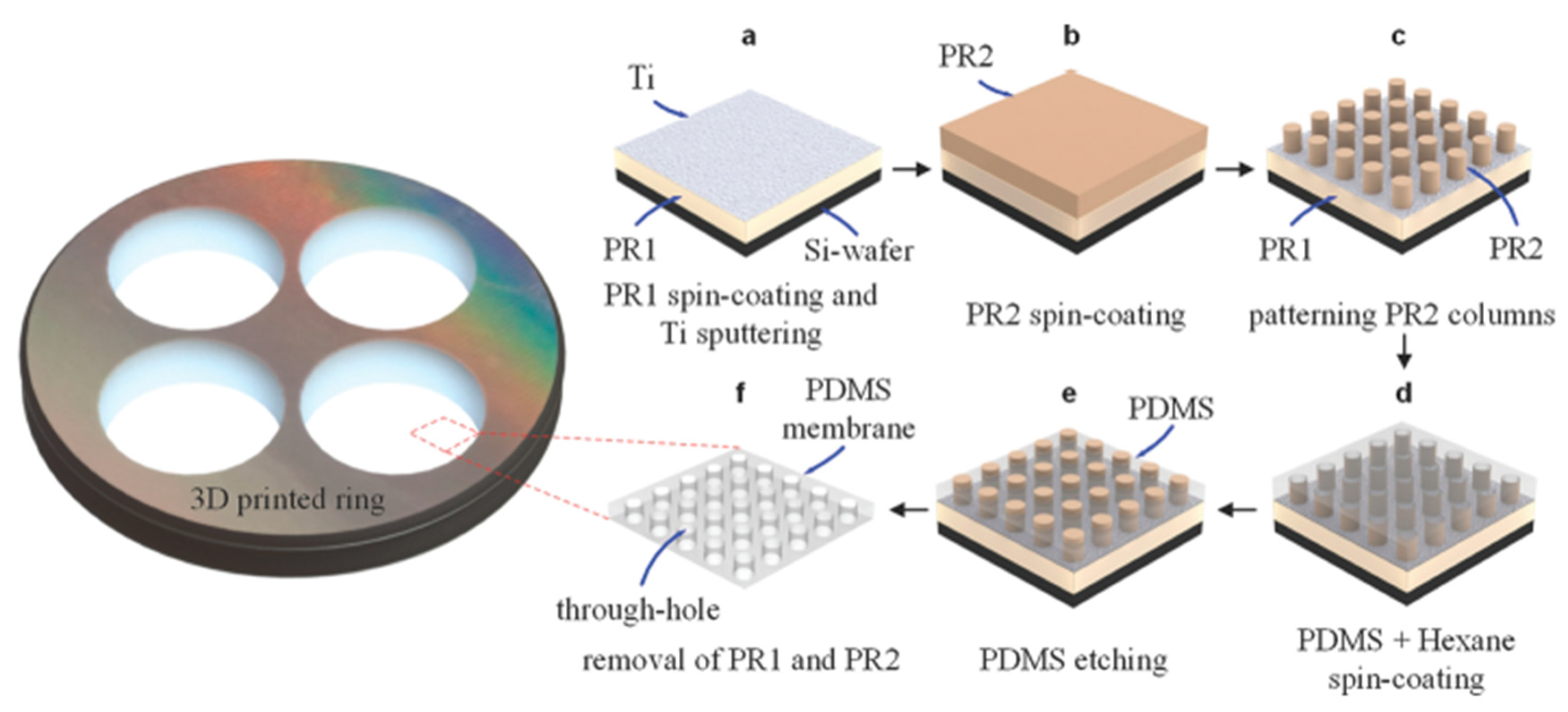 Polymers 11 01310 g017 Polymers 11 01310 g017